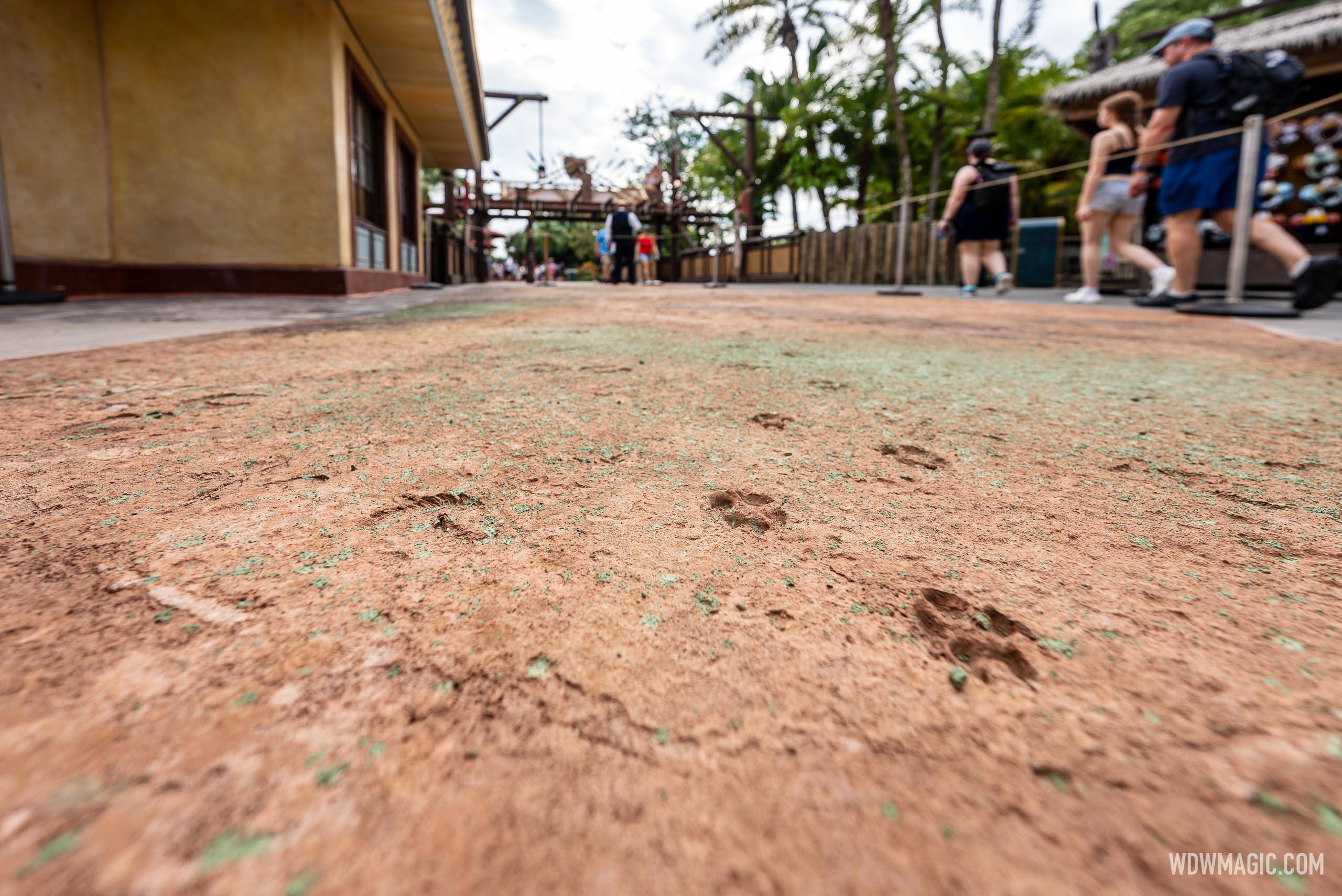 New Themed-Walkway Concrete Work in Adventureland - August 21 2024