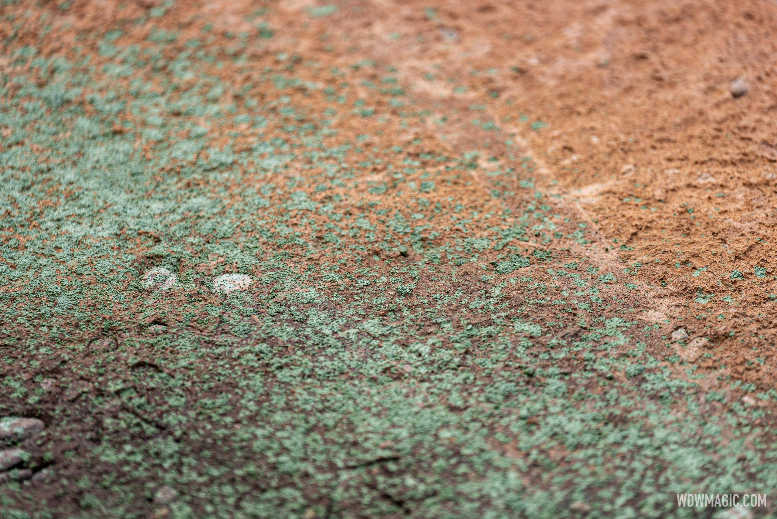 New Themed-Walkway Concrete Work in Adventureland - August 21 2024