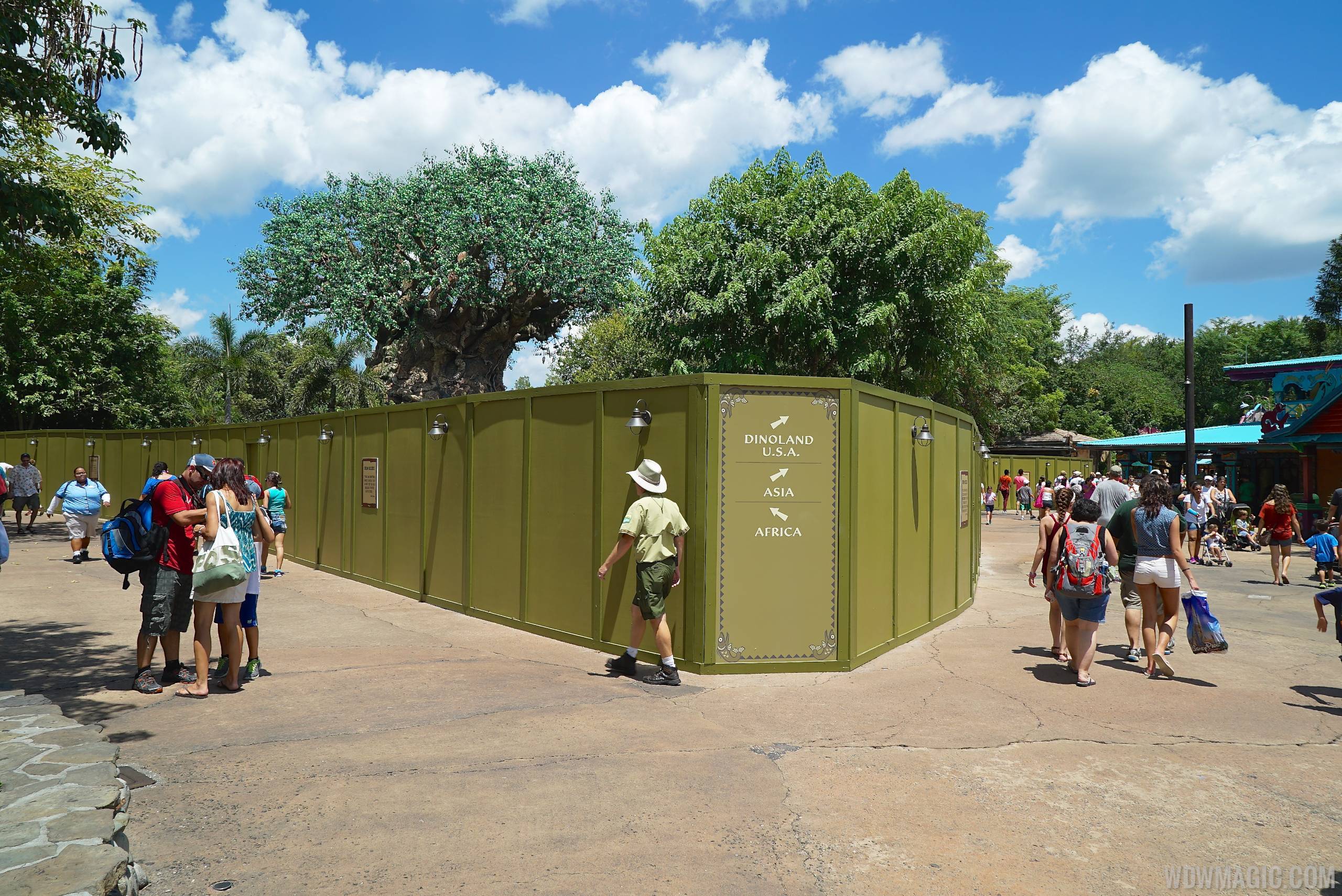PHOTOS - Latest look at the Discovery Island construction at Disney's Animal Kingdom
