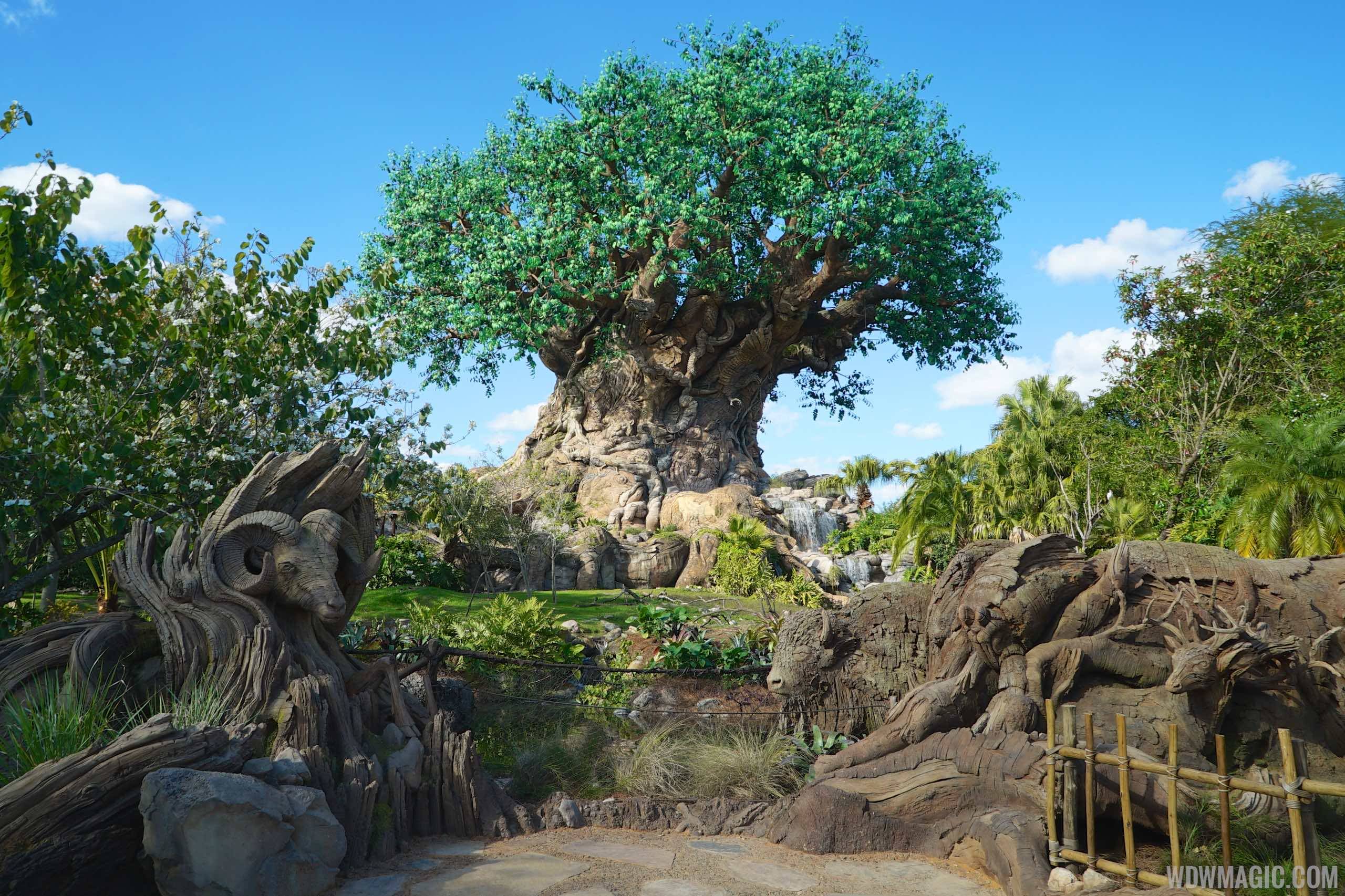 Tree of Life - the centerpiece of  Disney's Animal Kingdom