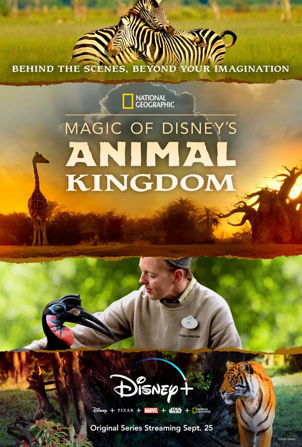VIDEO - First look at 'Magic of Disney’s Animal Kingdom' coming soon to Disney+