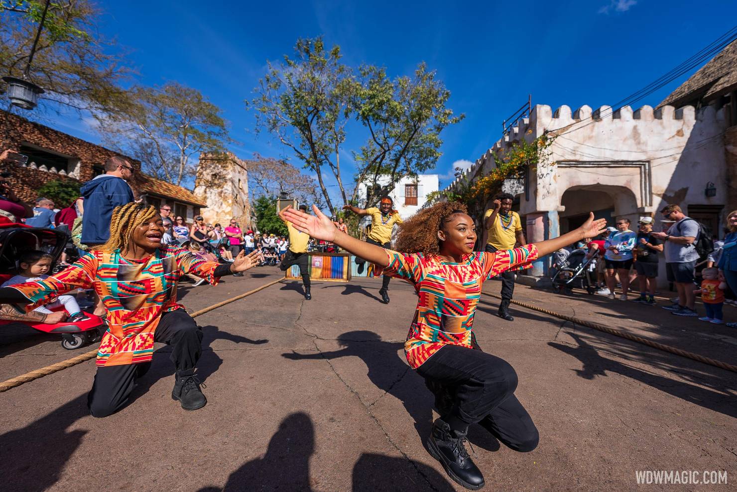 Animal-Kingdom_Full_46226.jpg