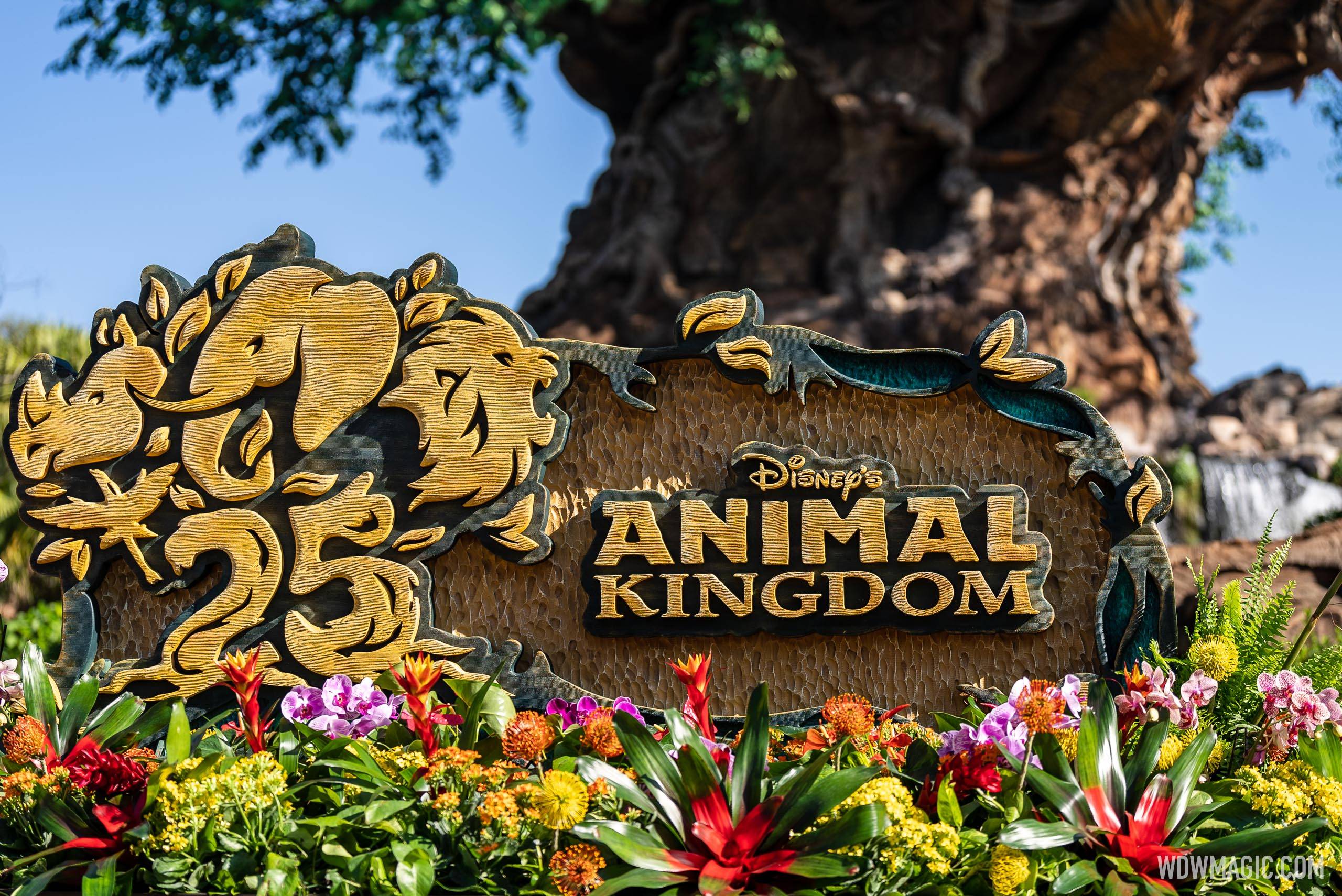 Disney's Animal Kingdom 25th anniversary