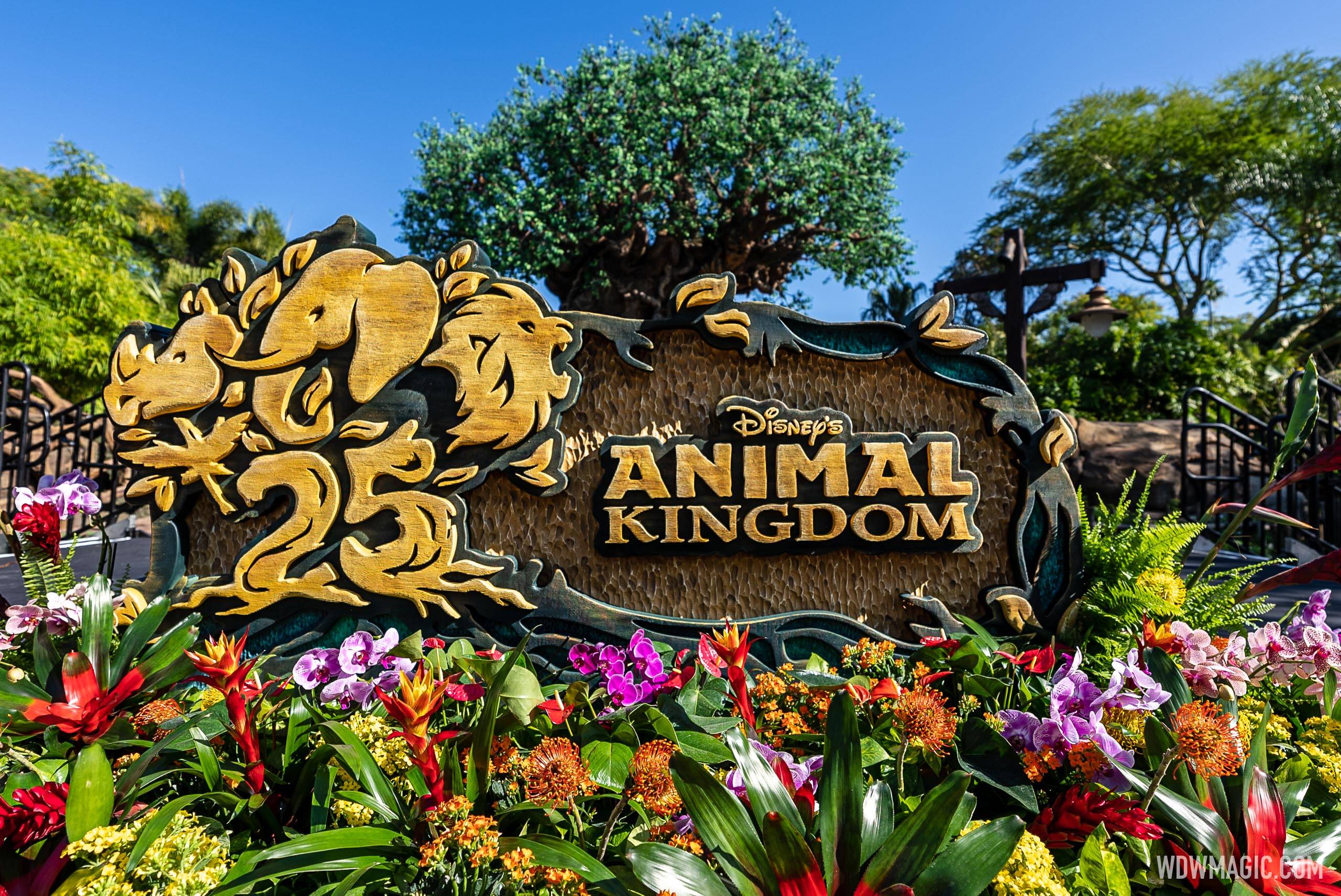 Disney's Animal Kingdom celebrates 25th anniversary with a special celebration at Tree of Life