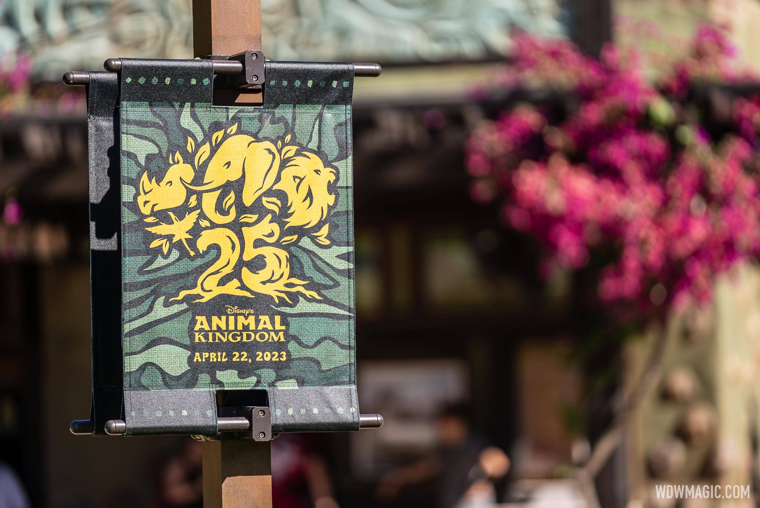Disney's Animal Kingdom 25th anniversary