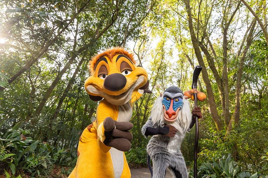 Celebrate 30 Years of 'The Lion King' with special experiences at Disney's Animal Kingdom
