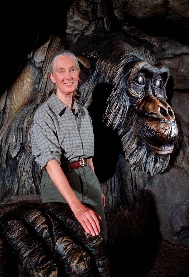 DCF 20th Anniversary with Jane Goodall