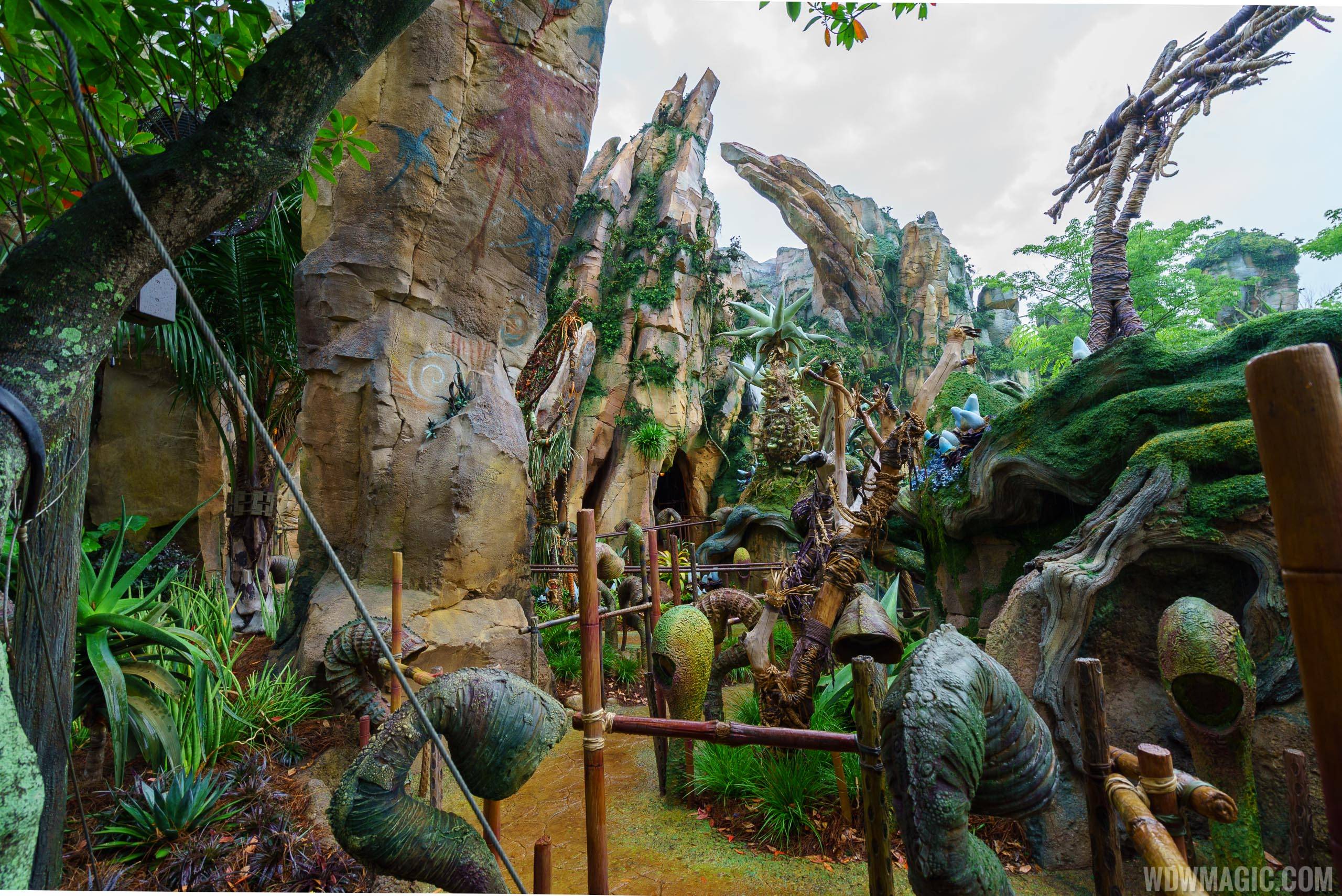 Avatar Flight of Passage outside queue space