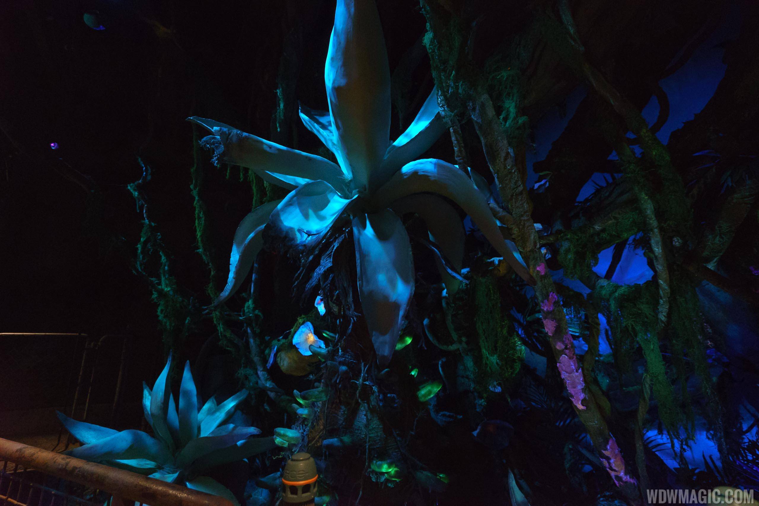 Avatar Flight of Passage queue - Bioluminescence plants
