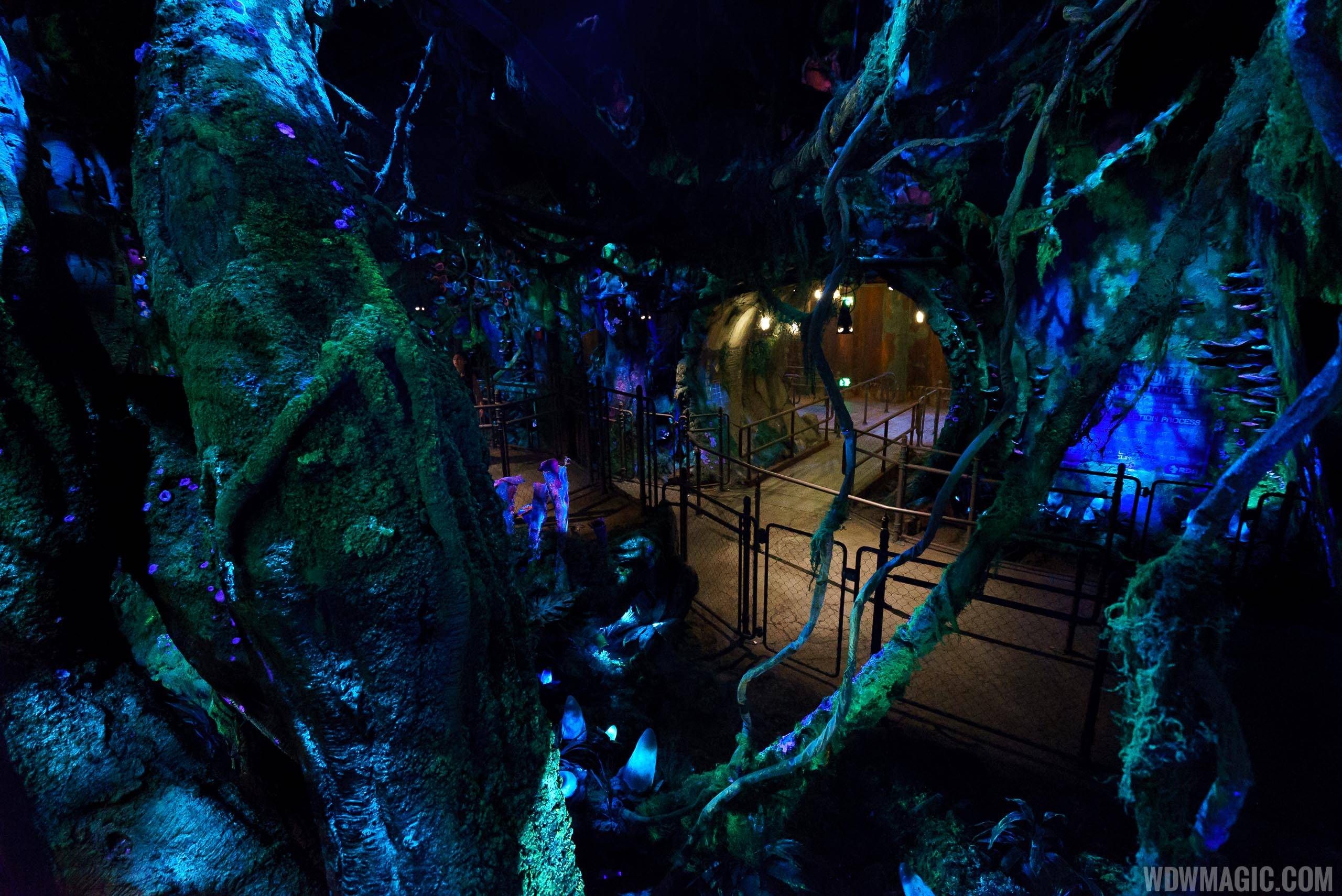 Avatar Flight of Passage queue - Looking down to the queue space