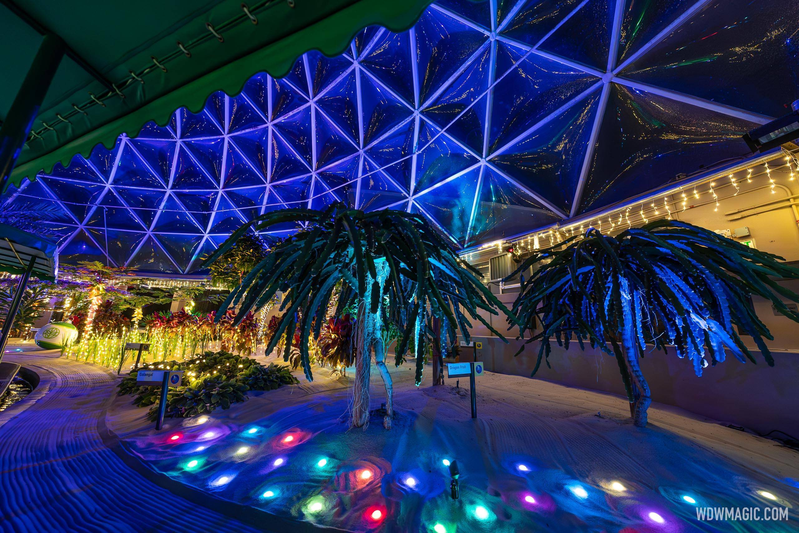 Behind the Seeds - Glimmering Greenhouses