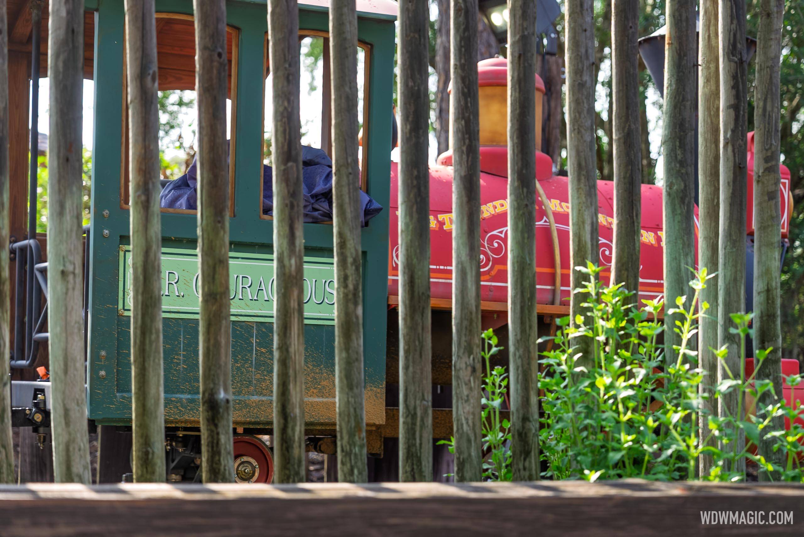 Big-Thunder-Mountain-Railroad_Full_60889.jpg