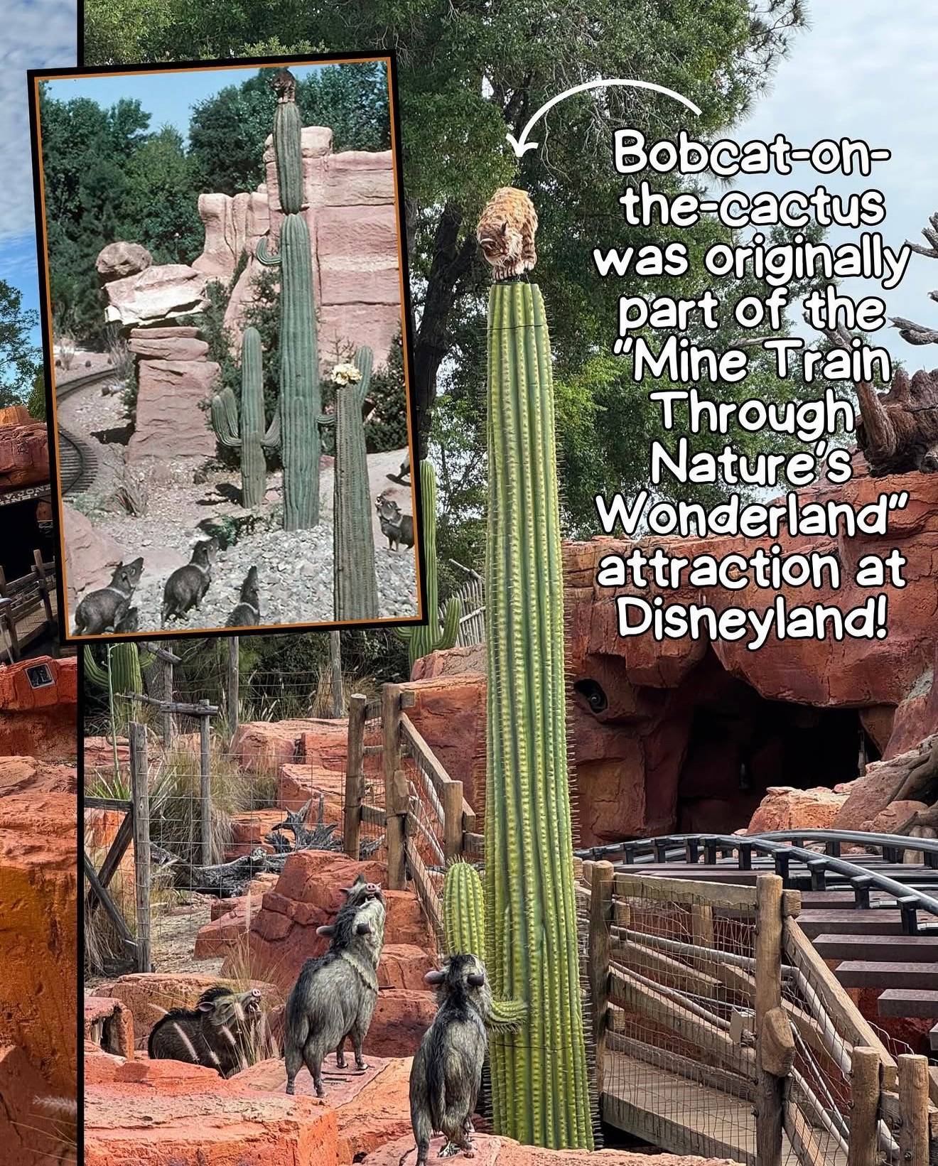 Inside Tumbleweed: Big Thunder Mountain Railroad Reopening Preview
