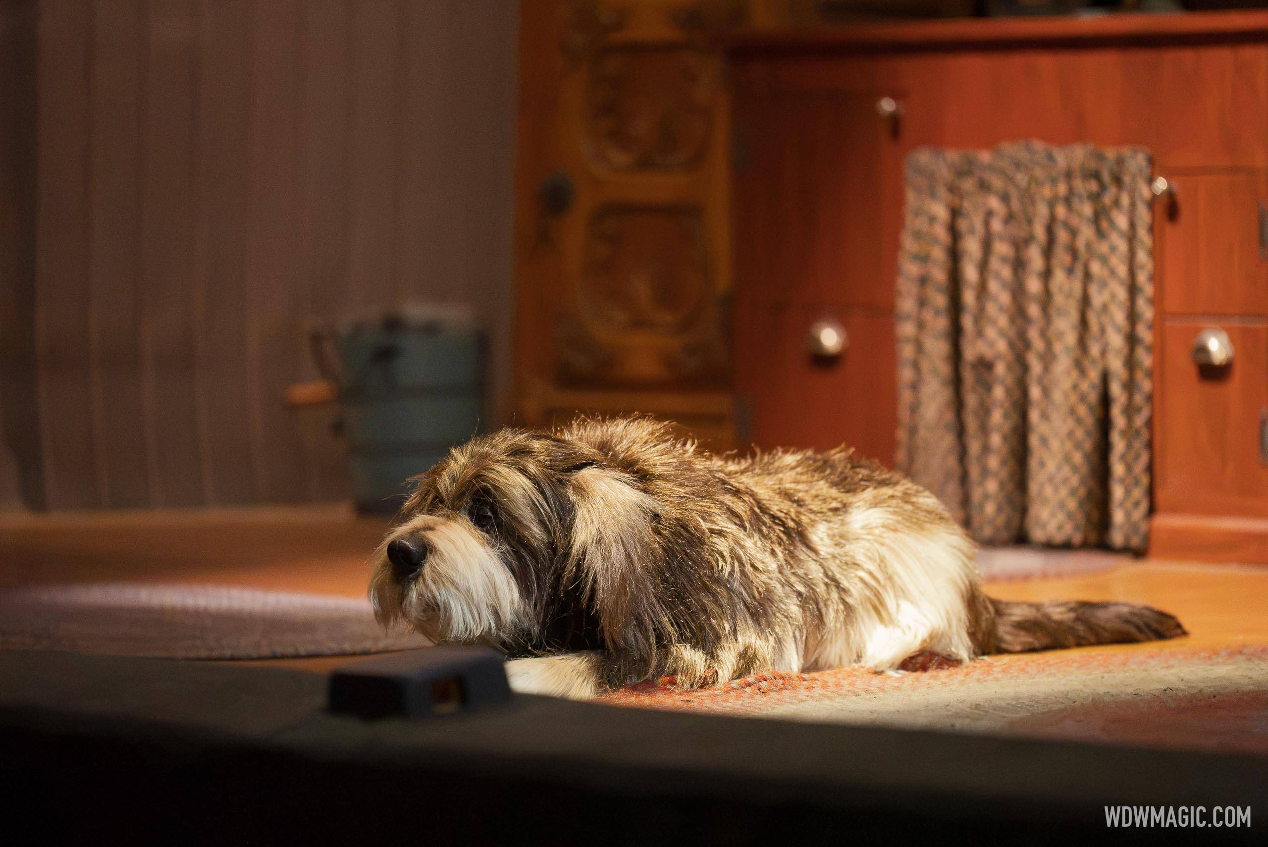 Act 1: Turn of the Century (1900s) - Rover