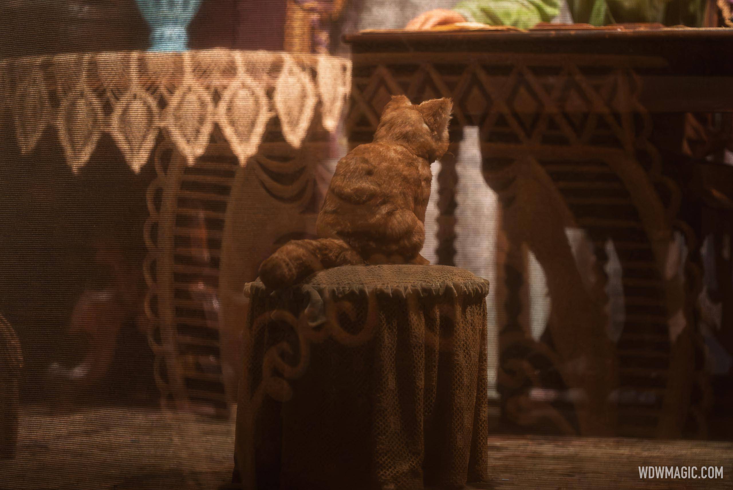 Act 1: Turn of the Century (1900s) - Stereoscope Scene Cat