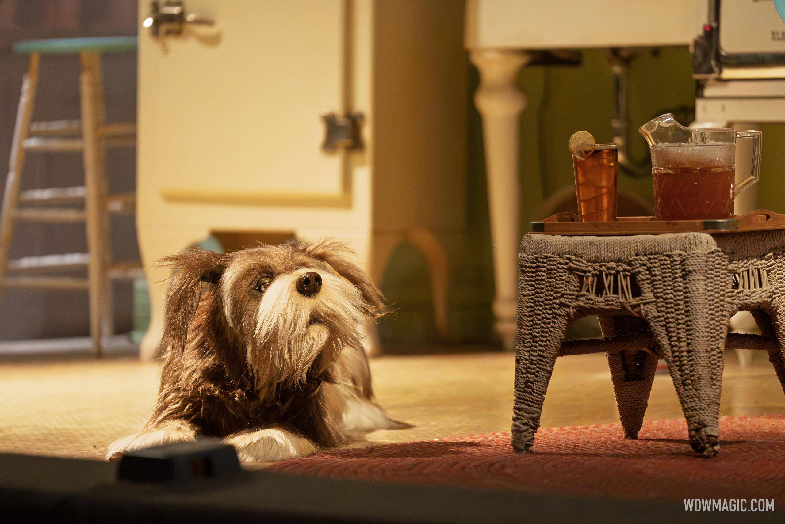 Act 2: 1920s - Rover