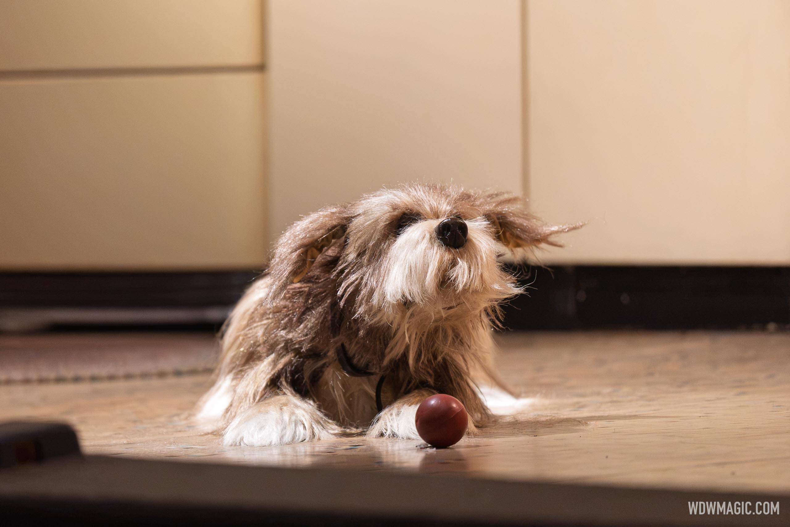 Act 3: 1940s - Rover