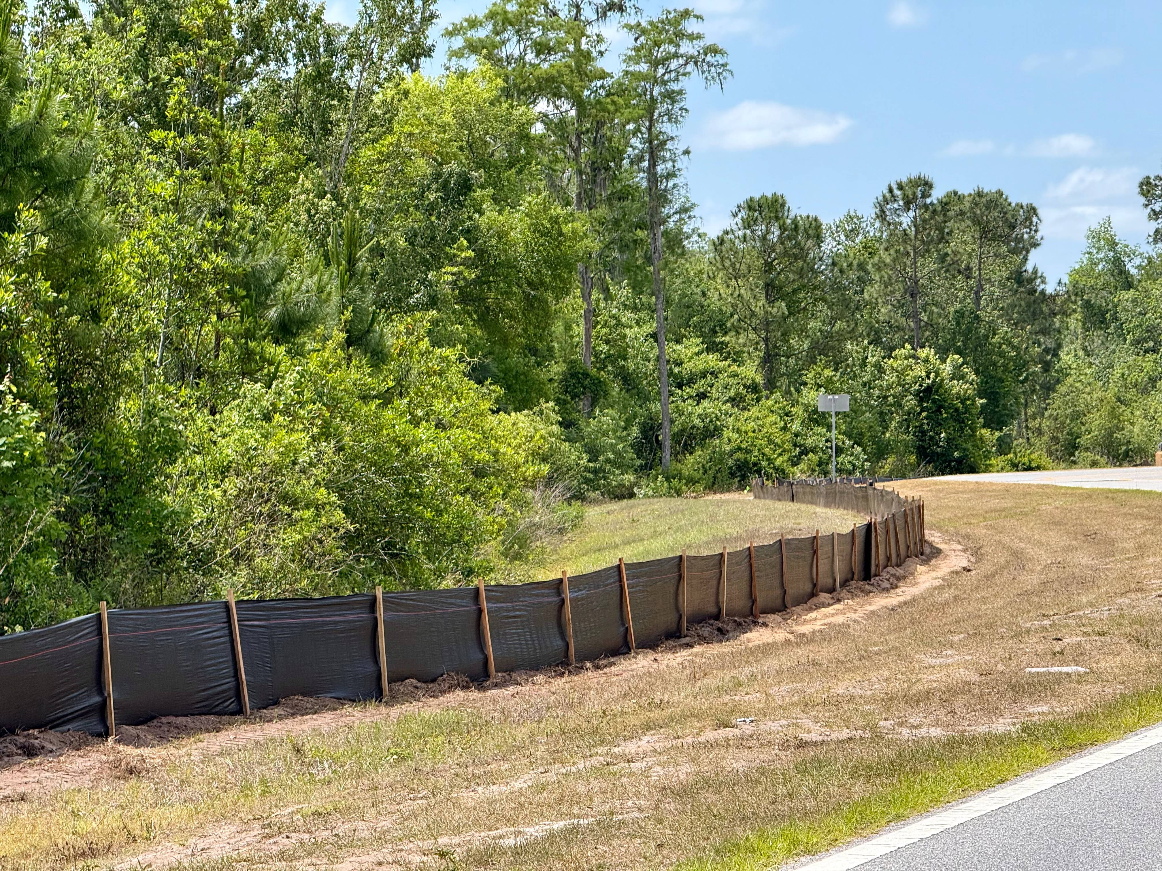 Construction Equipment and Land Clearing Behind Magic Kingdom for Cars Expansion