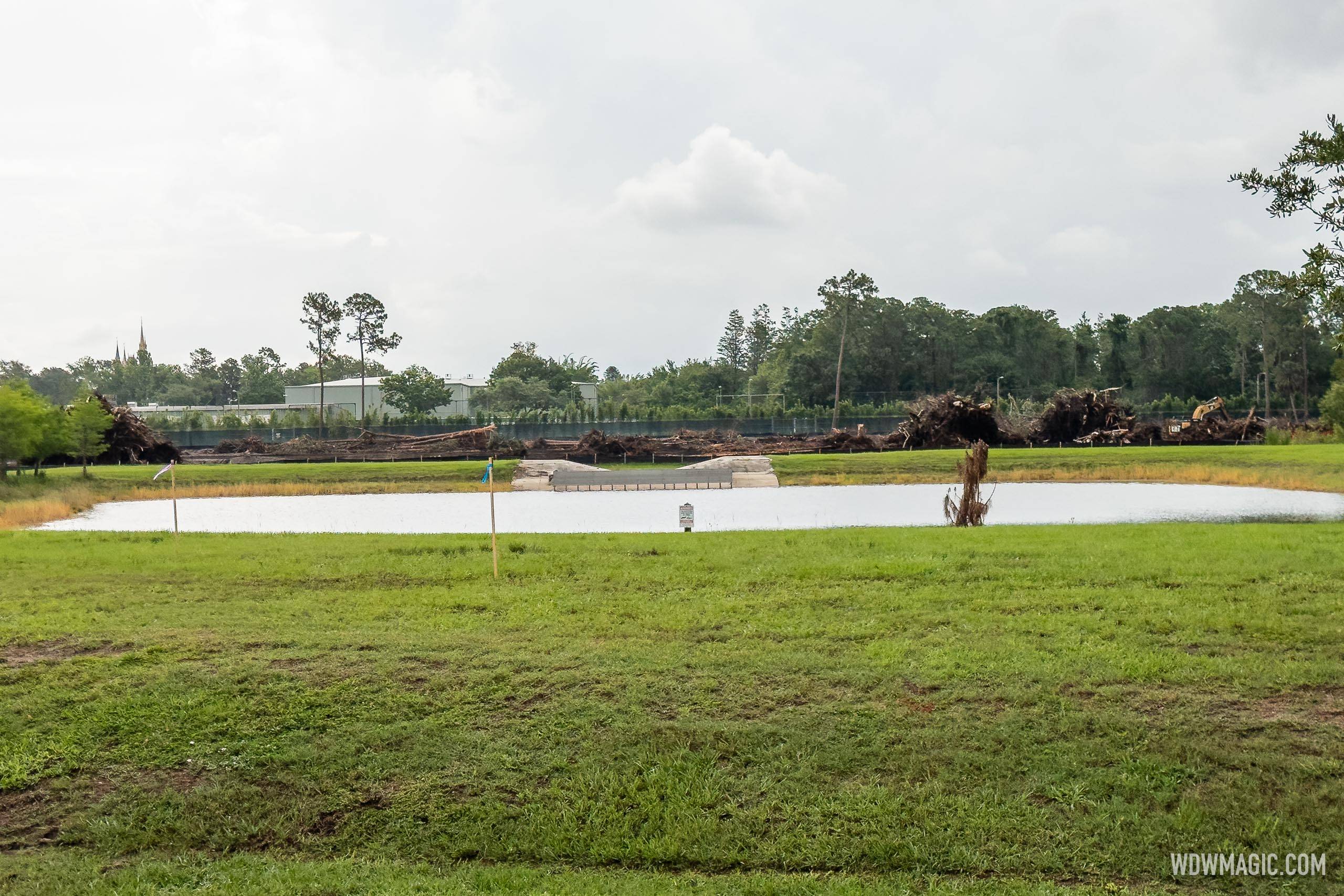 Land Clearing Behind Magic Kingdom for Cars Expansion - June 1, 205