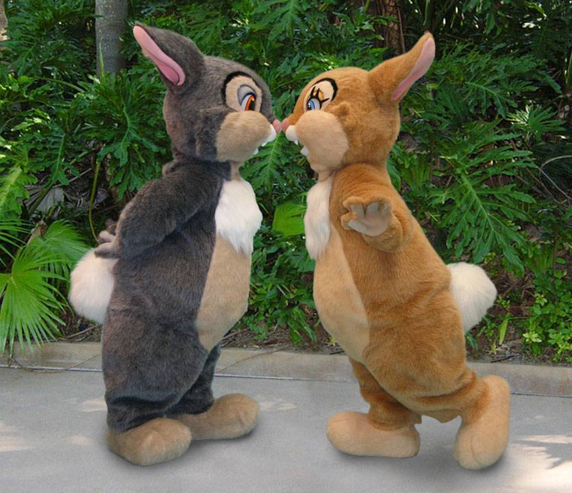 Celebrate the 75th anniversary of Bambi with a Thumper and Miss Bunny meet and greet at Disney's Animal Kingdom