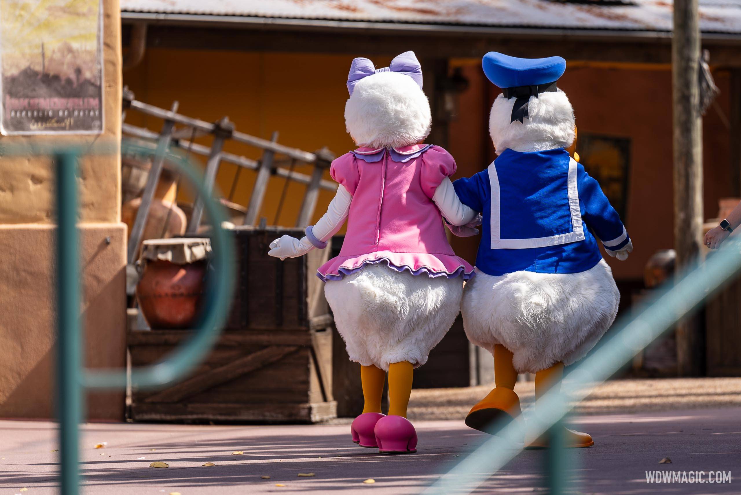 Daisy Duck Joins Donald Duck Meet and Greet at Disney's Hollywood Studios