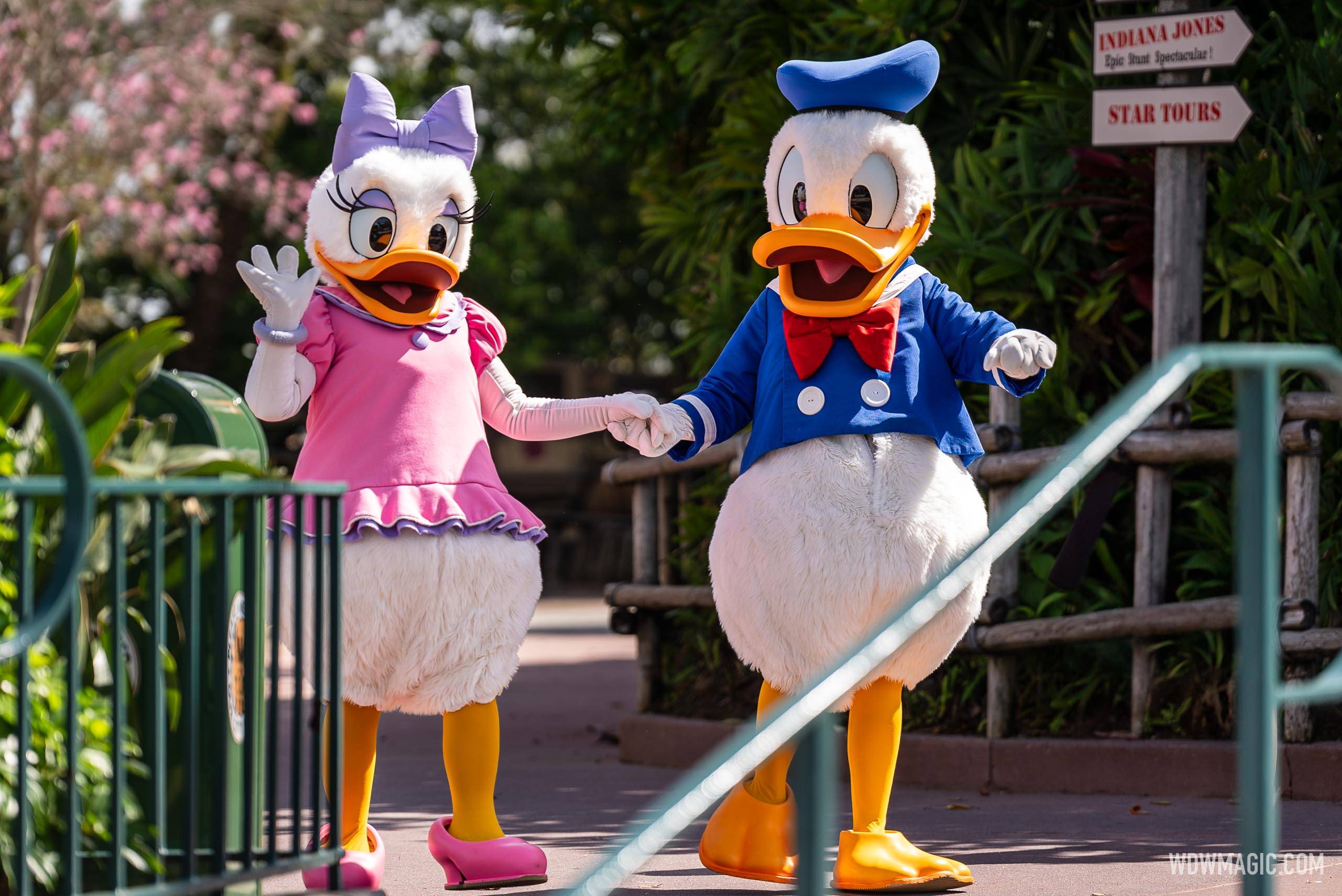 Donald, Daisy, Chip, and Dale return to traditional character meet and  greets at Disney's Hollywood Studios