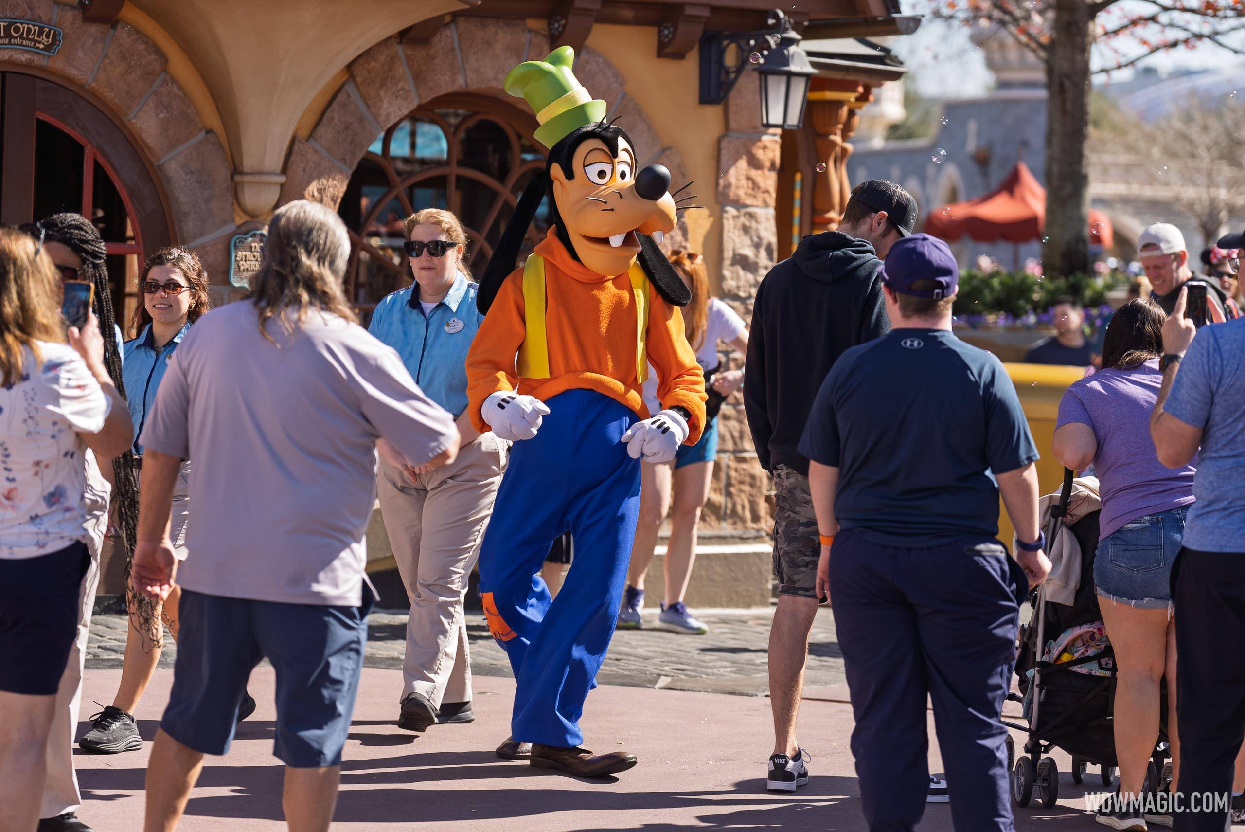 Mickey and Friends Surprise Walk-Around Appearances at Magic Kingdom