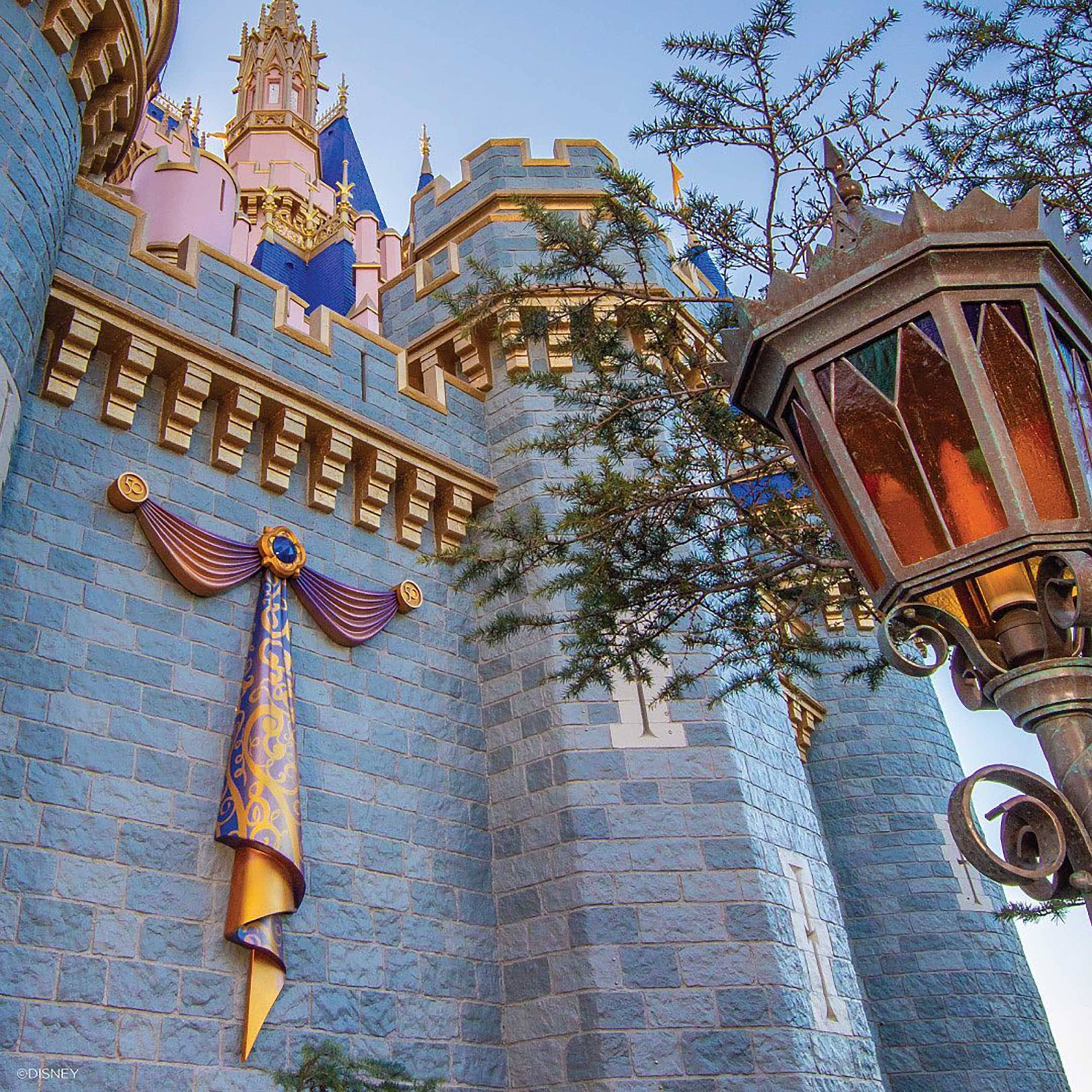 PHOTOS - First embellishment added to Cinderella Castle as part of the 50th anniversary makeover