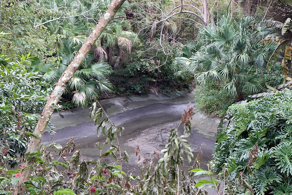 Adventureland drained waterway near the tree house