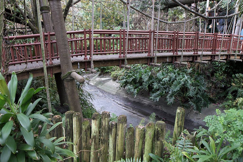 Adventureland drained waterway at the tree house entrance