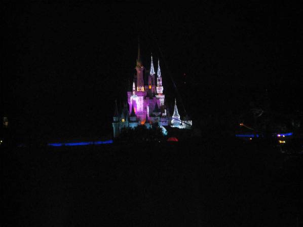 Cinderella's Holiday Wish lights installation
