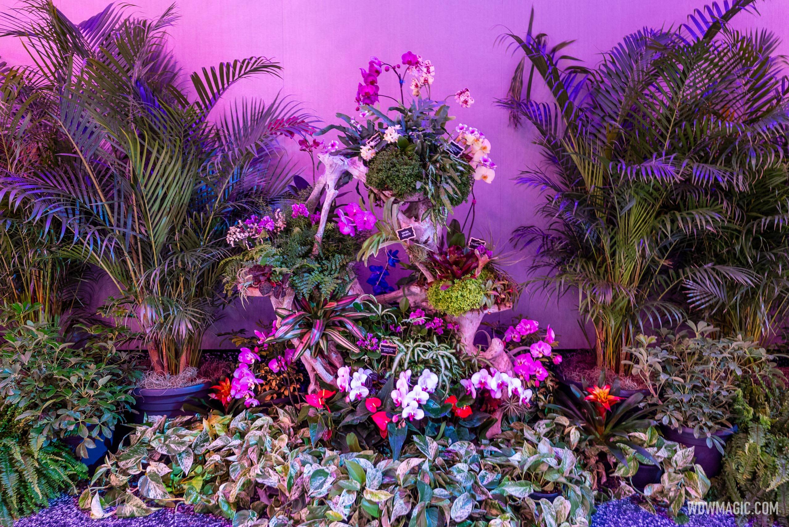 CommuniCore Hall for EPCOT's 2025 Flower and Garden Festival
