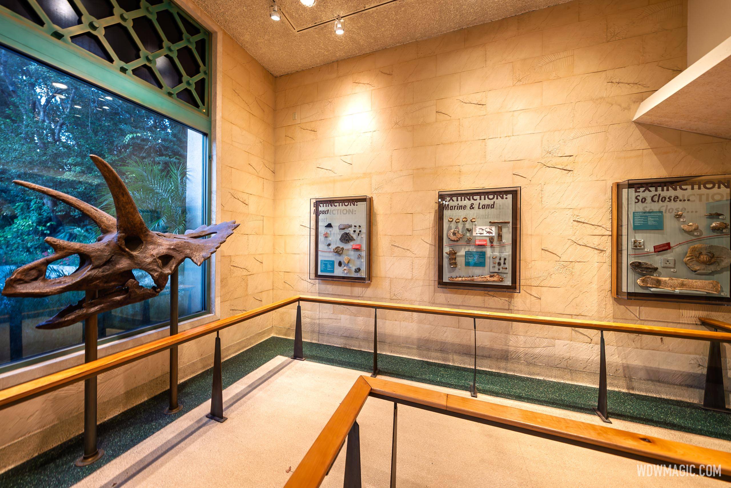 Dinosaur 2026 - Exterior, Queue and Ride