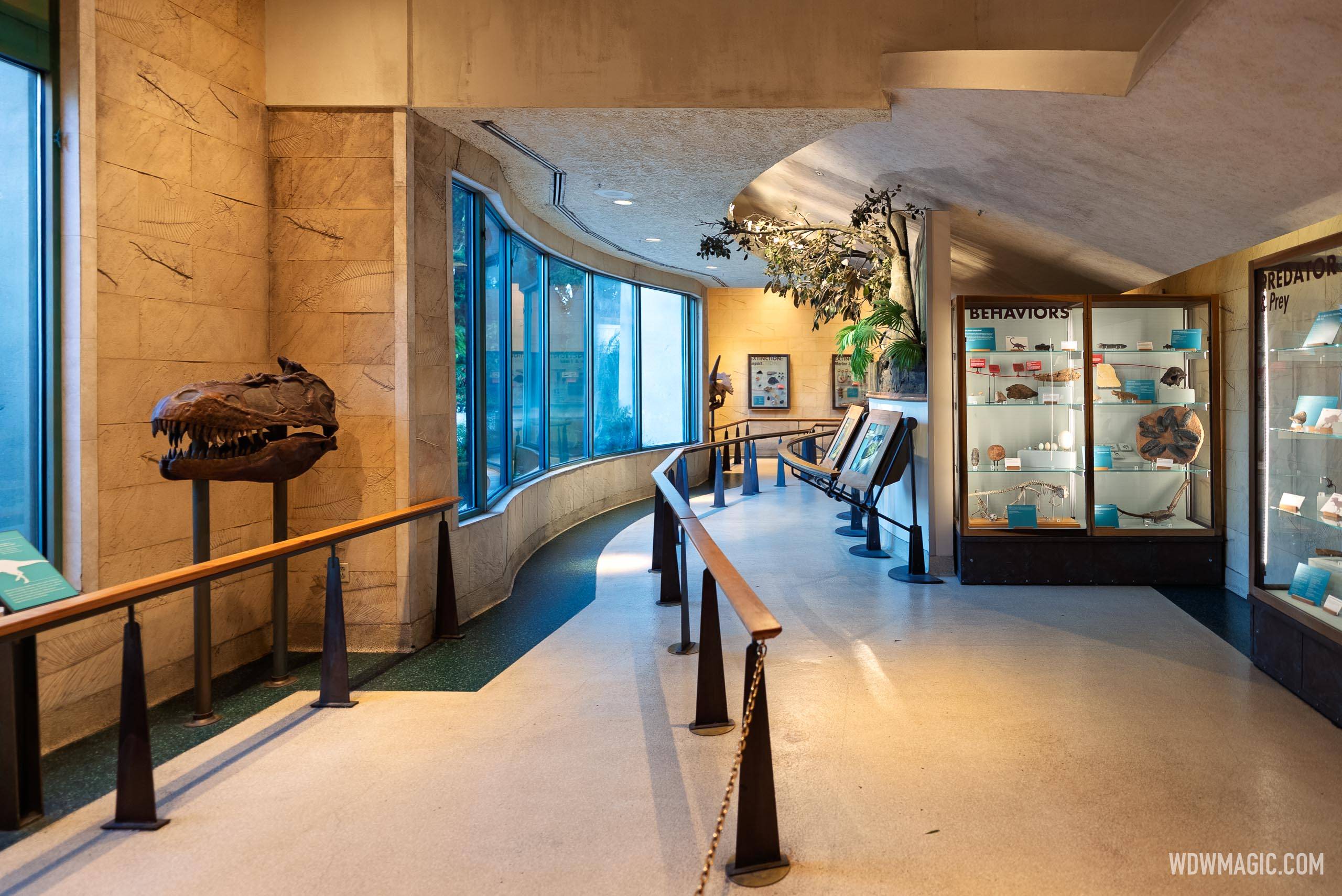 Dinosaur 2026 - Exterior, Queue and Ride