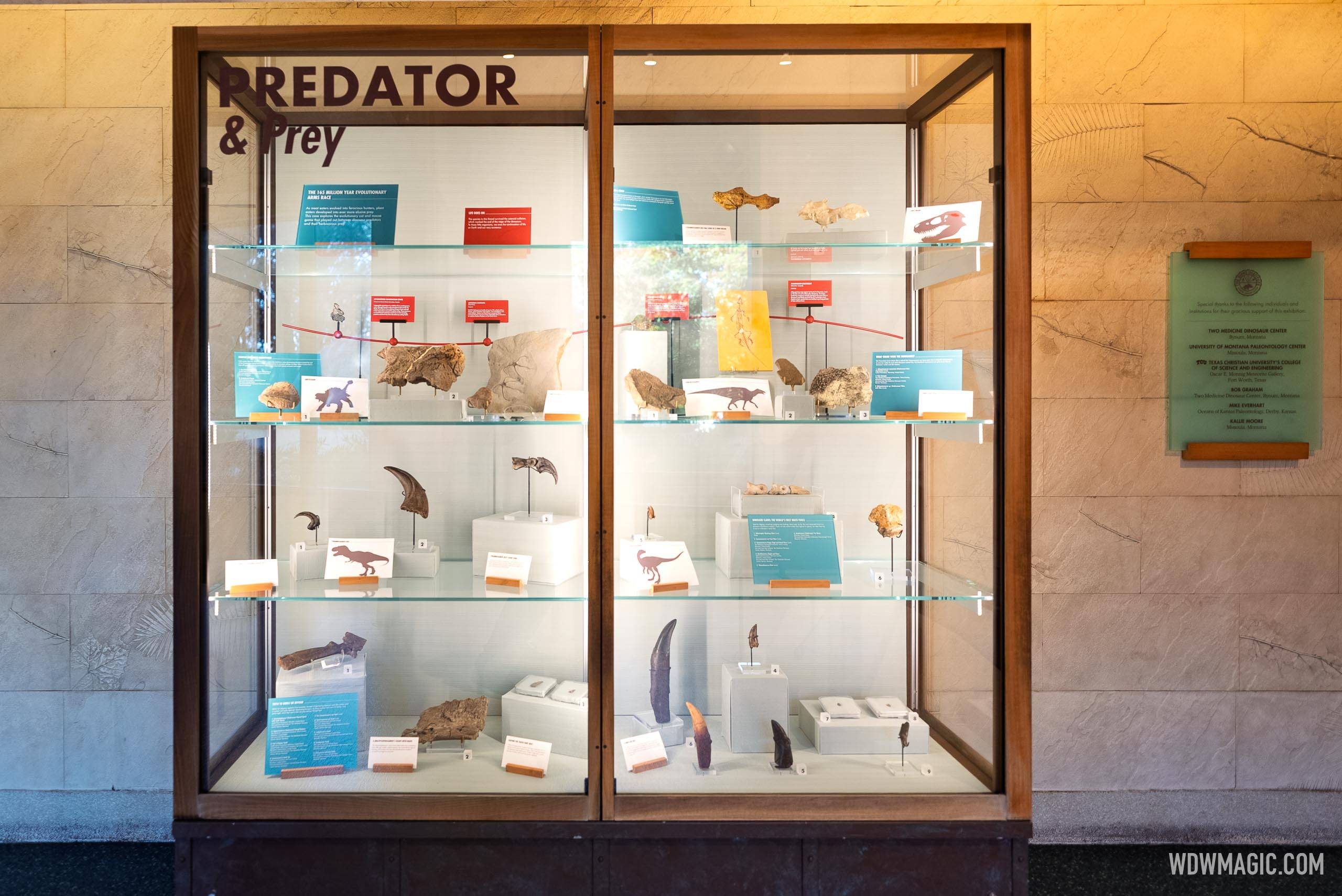 Dinosaur 2026 - Exterior, Queue and Ride