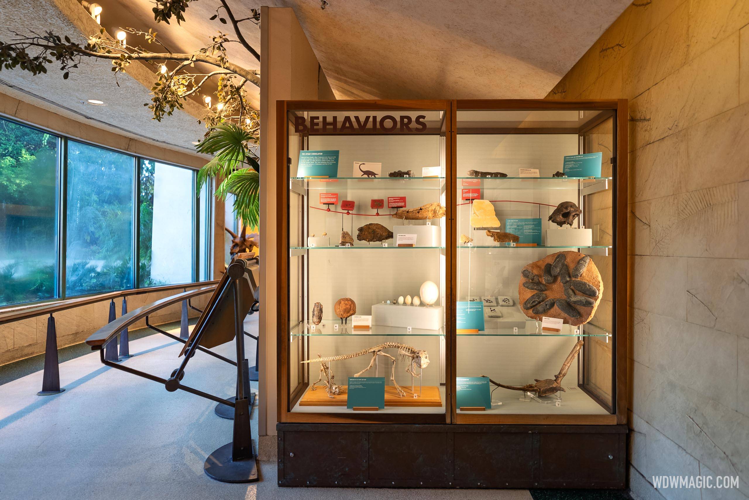 Dinosaur 2026 - Exterior, Queue and Ride