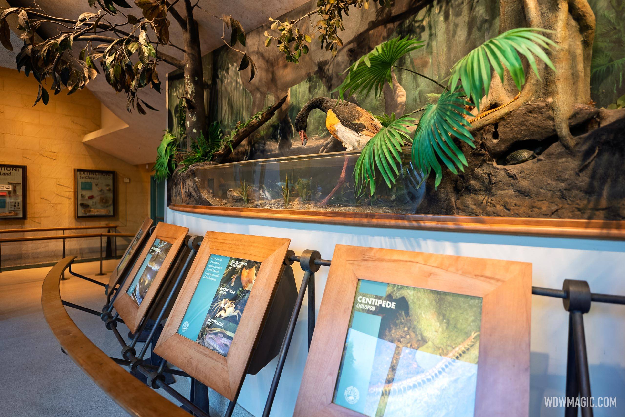 Dinosaur 2026 - Exterior, Queue and Ride