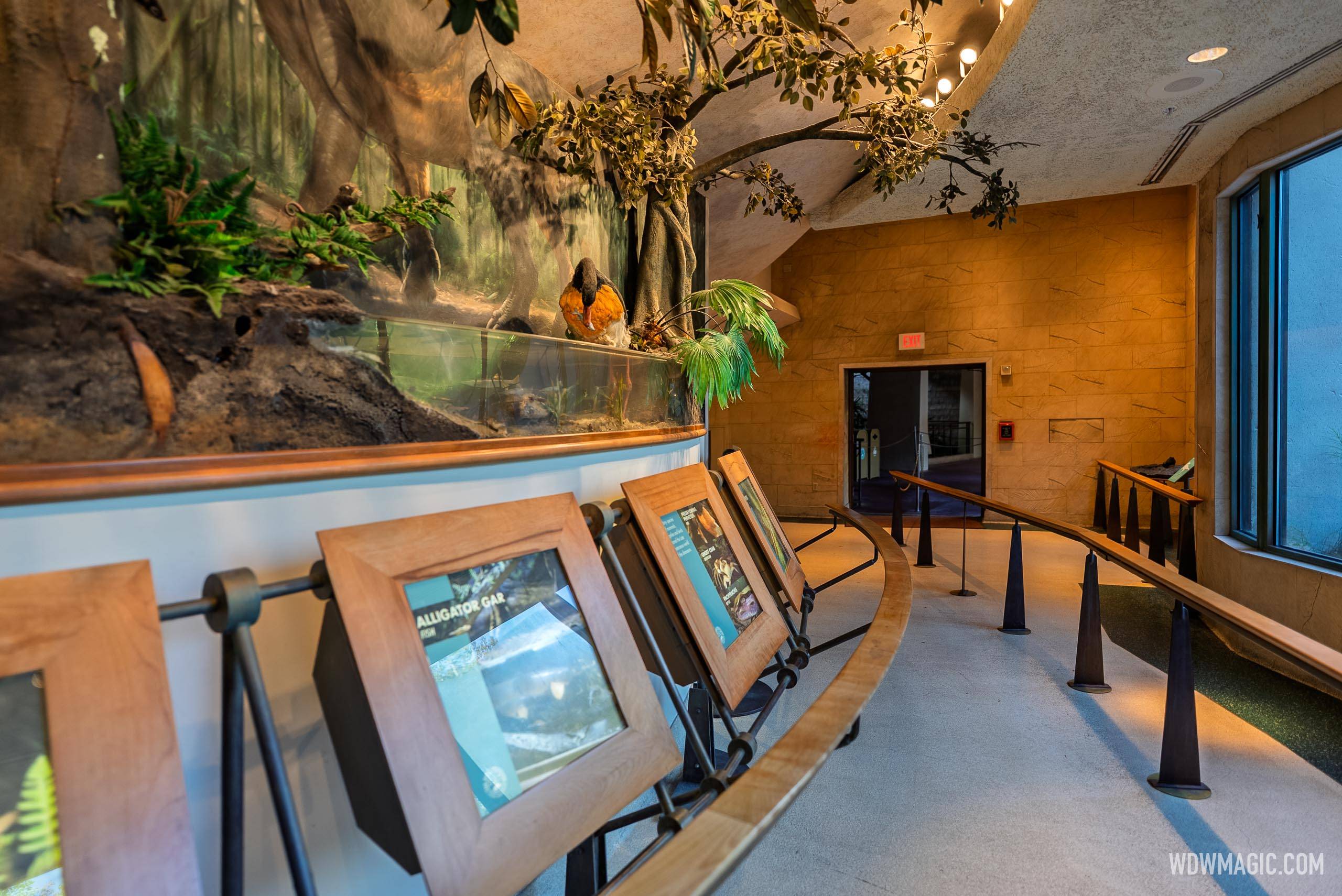 Dinosaur 2026 - Exterior, Queue and Ride