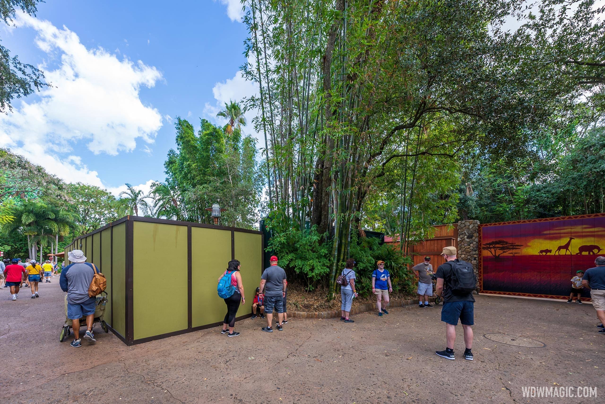 Construction walls up on Discovery Island at Disney's Animal Kingdom