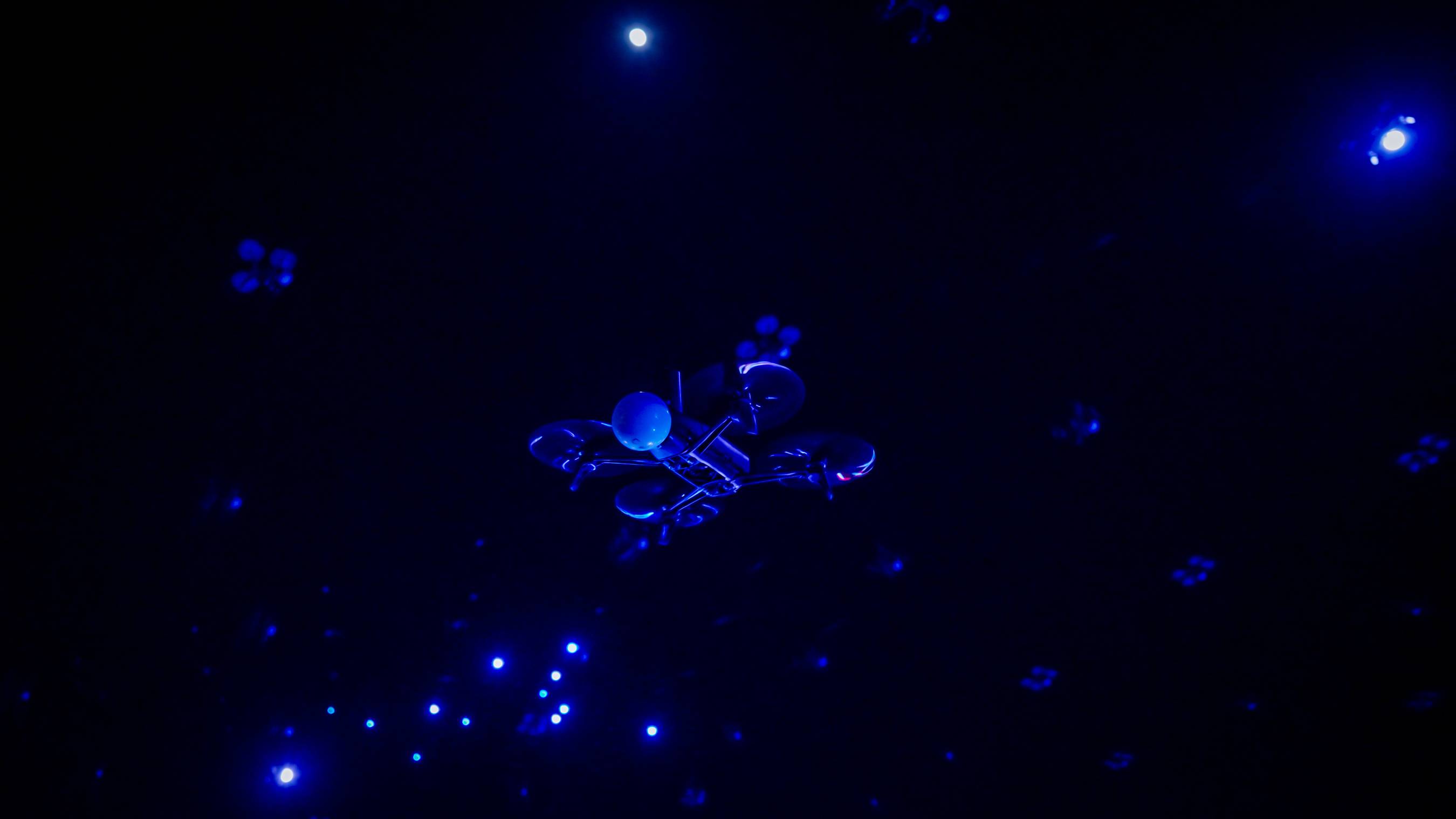 First Look at Rehearsals For 'Disney Dreams that Soar' Drone Show at Disney World