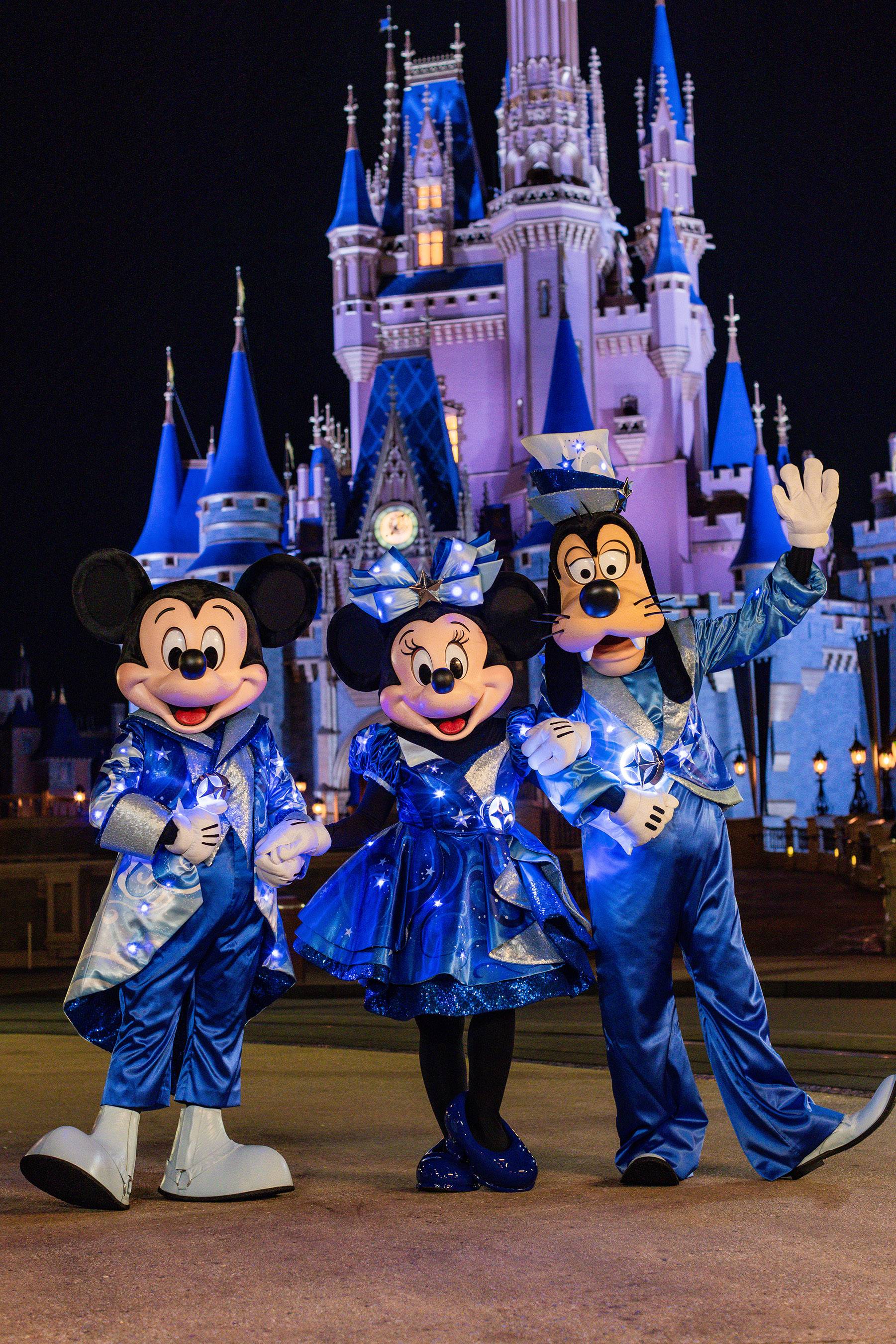 Disney Starlight Parade Character Costumes