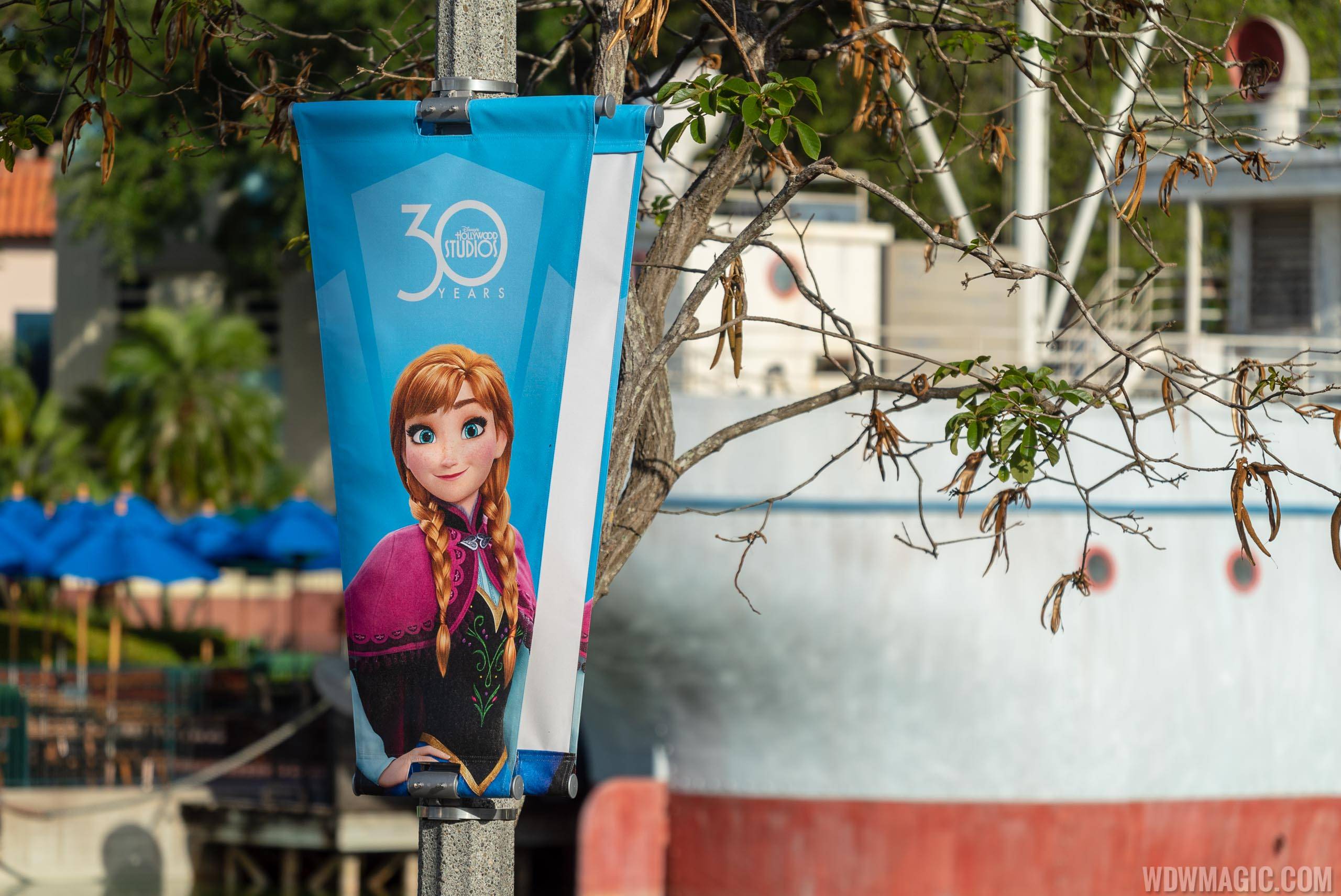 Disney's Hollywood Studios 30th Anniversary banners