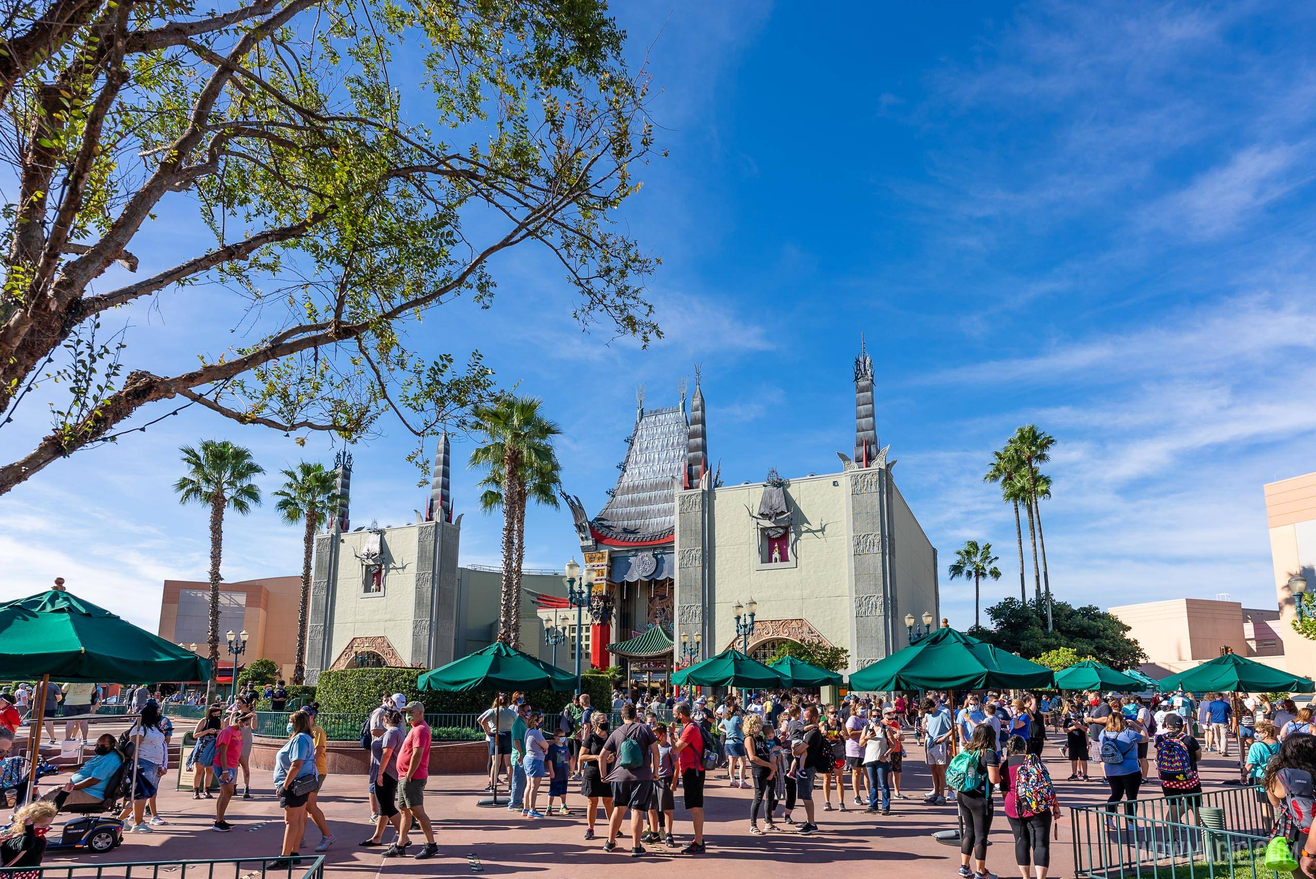Attendance continues to rise at Walt Disney World theme parks