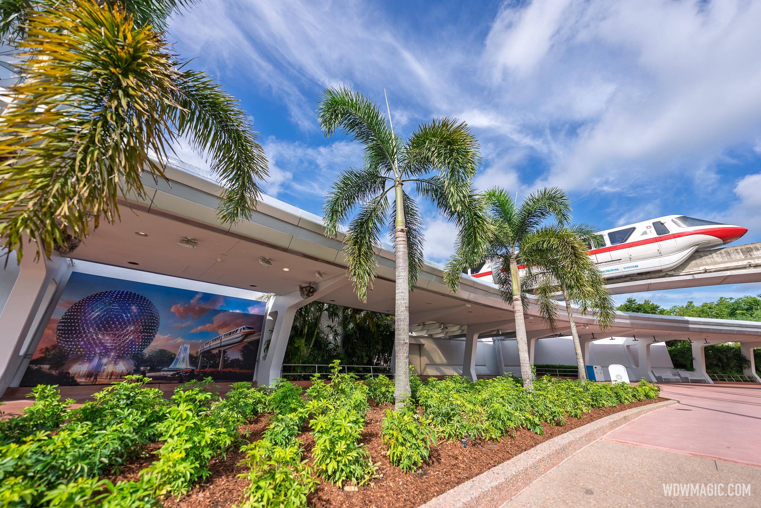New EPCOT Main Entrance Area Landscaping and Palm Trees