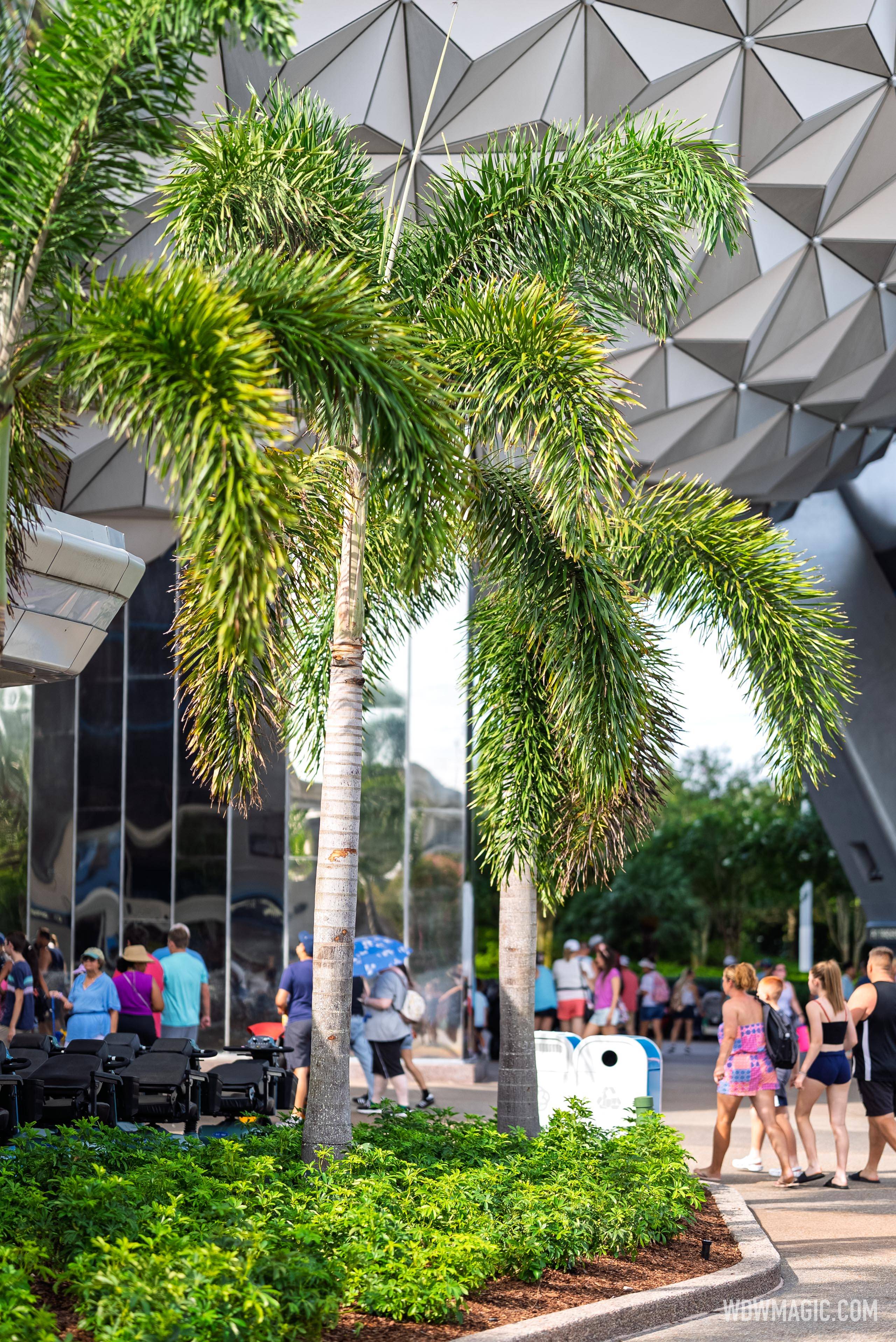 New EPCOT Main Entrance Area Landscaping and Palm Trees