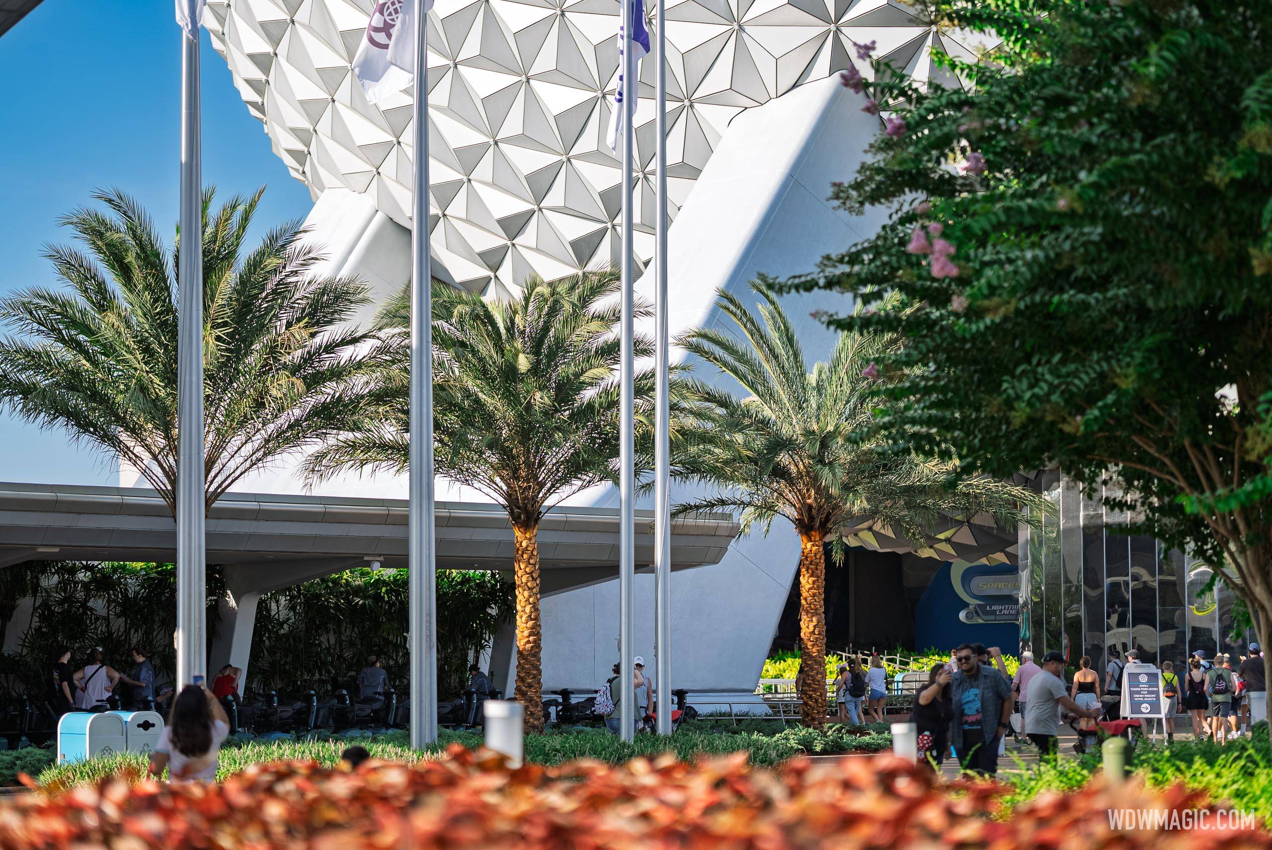 Spaceship Earth's New Palm Trees - Summer 2026 - photo 3 of 8