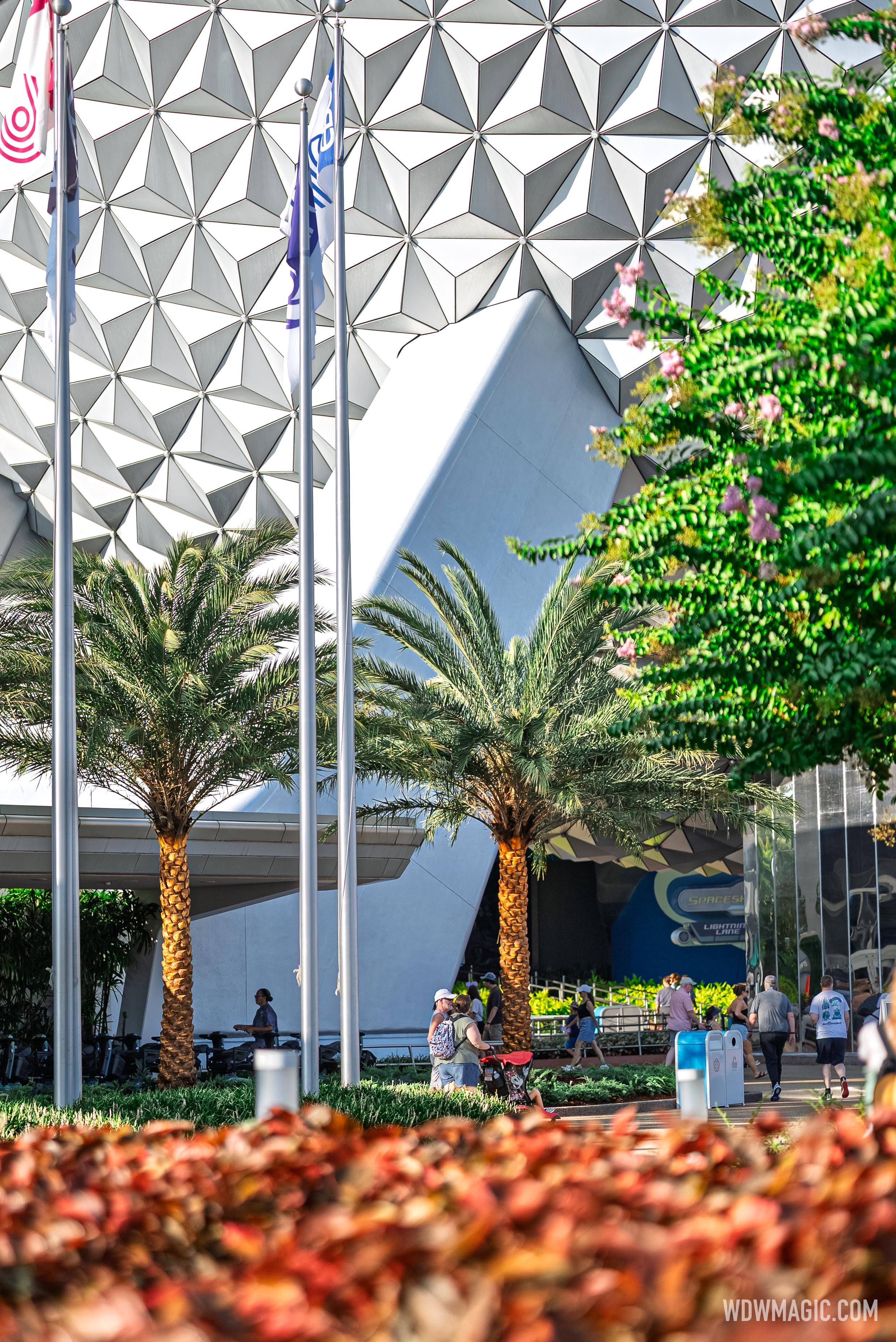 Spaceship Earth's New Palm Trees - Summer 2026 - photo 5 of 8