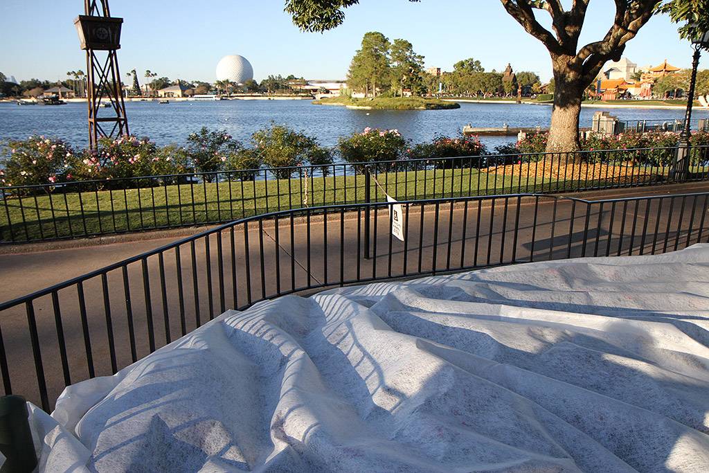 Epcot Horticulture teams take precautions against the cold weather