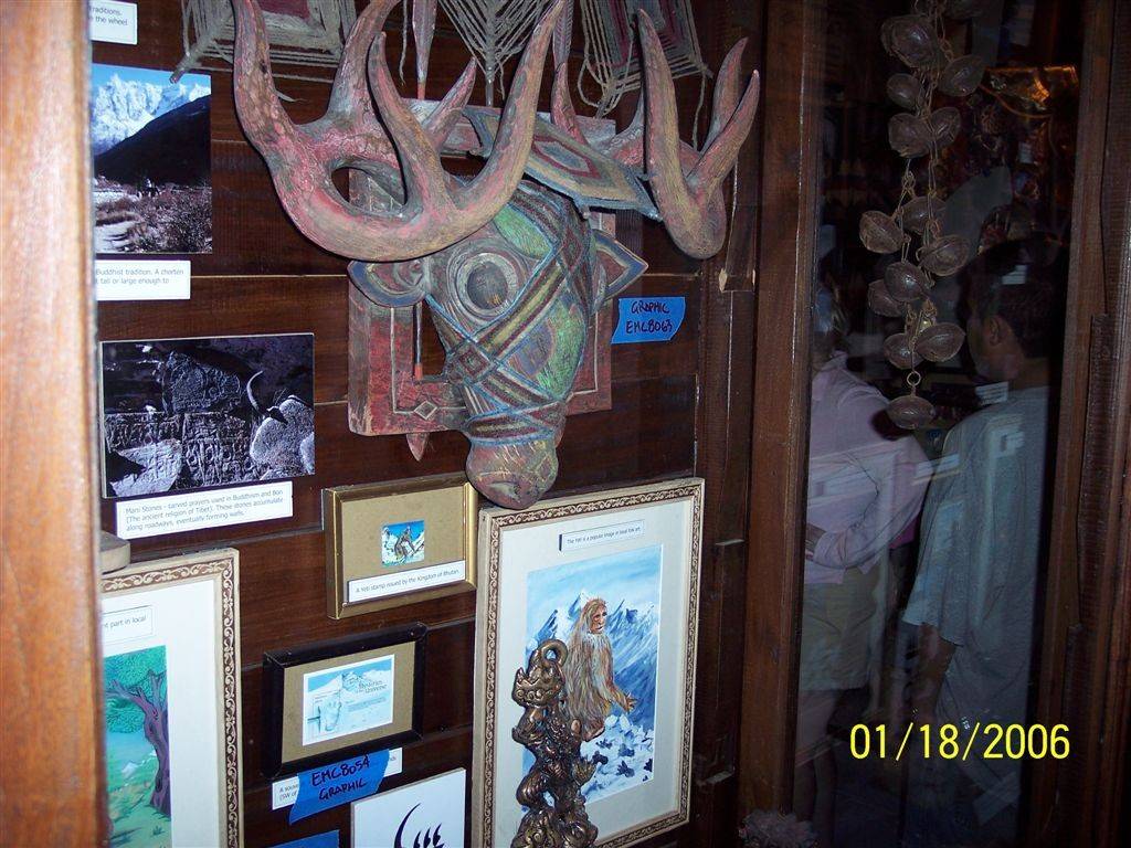 Expedition Everest cast preview