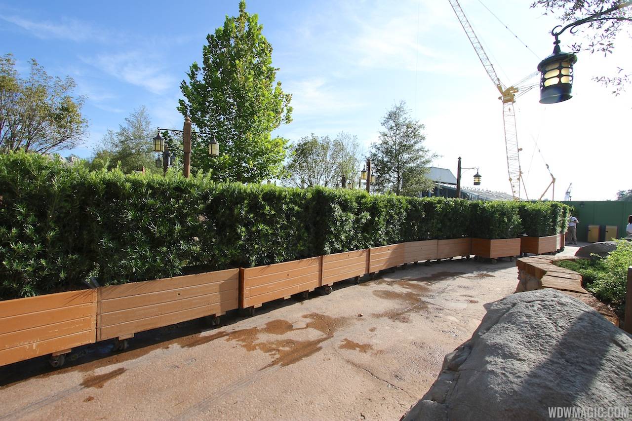 PHOTOS - Walls down at entrance to the Enchanted Forest in the new Fantasyland